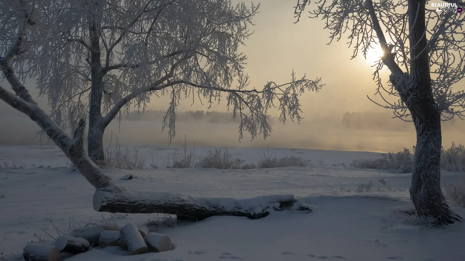 River, frosty, log, trees, laying, Fog, winter, viewes