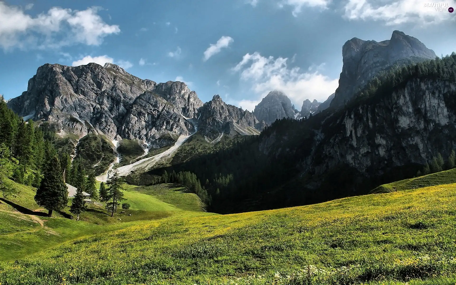 viewes, Meadow, peaks, trees, Mountains