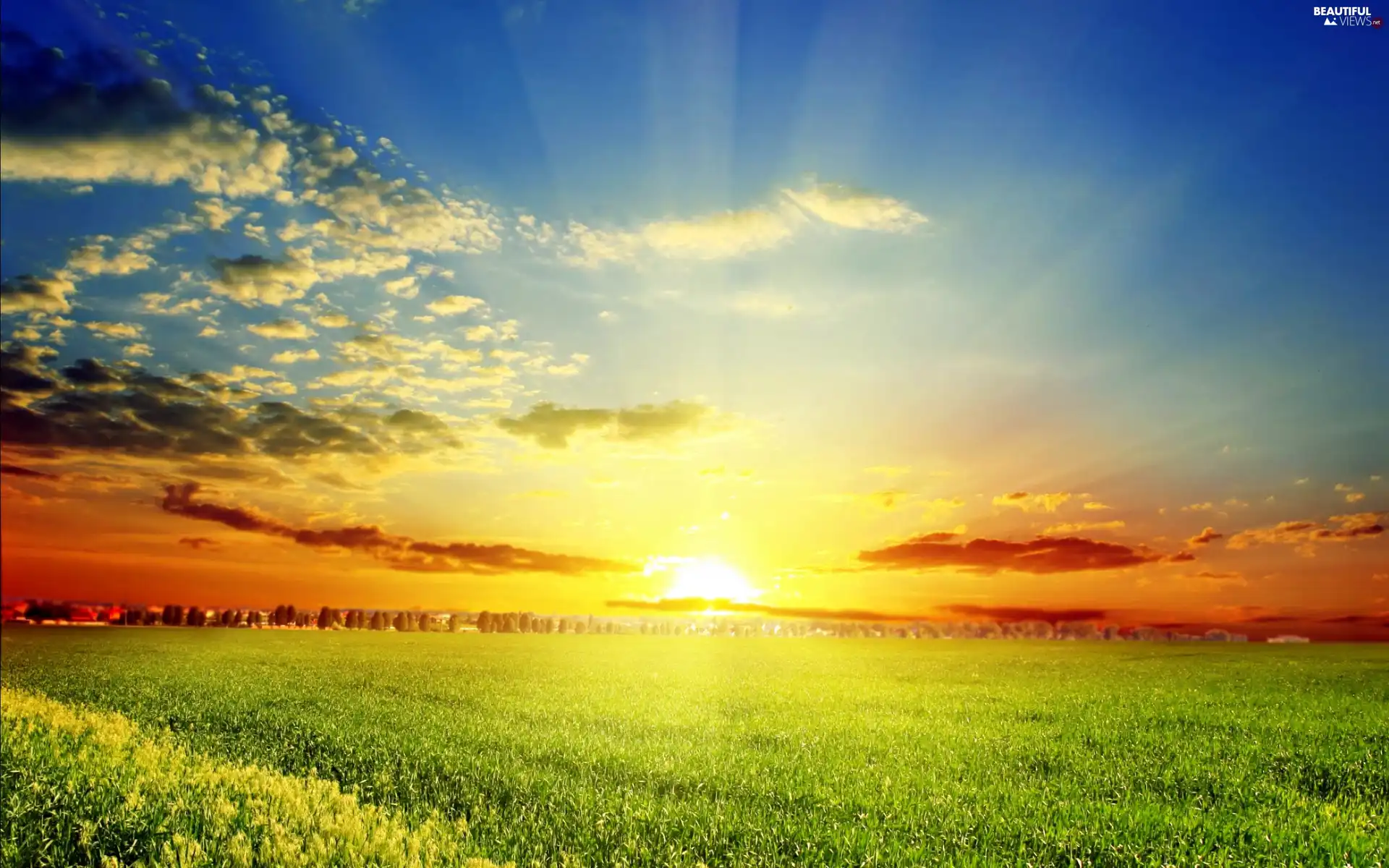 viewes, Meadow, sun, trees, rays