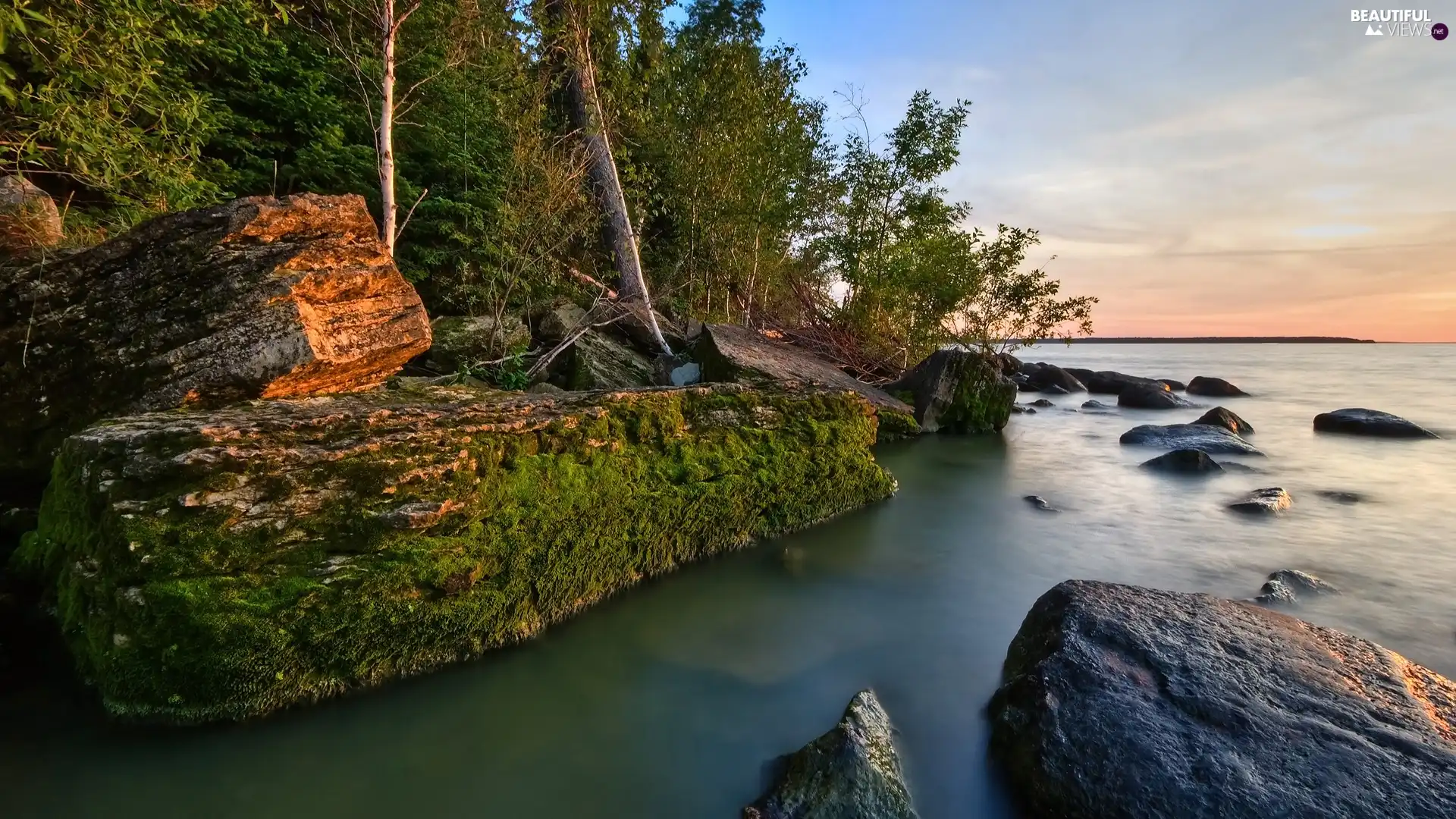 water, Stones, viewes, Moss, trees, turbid