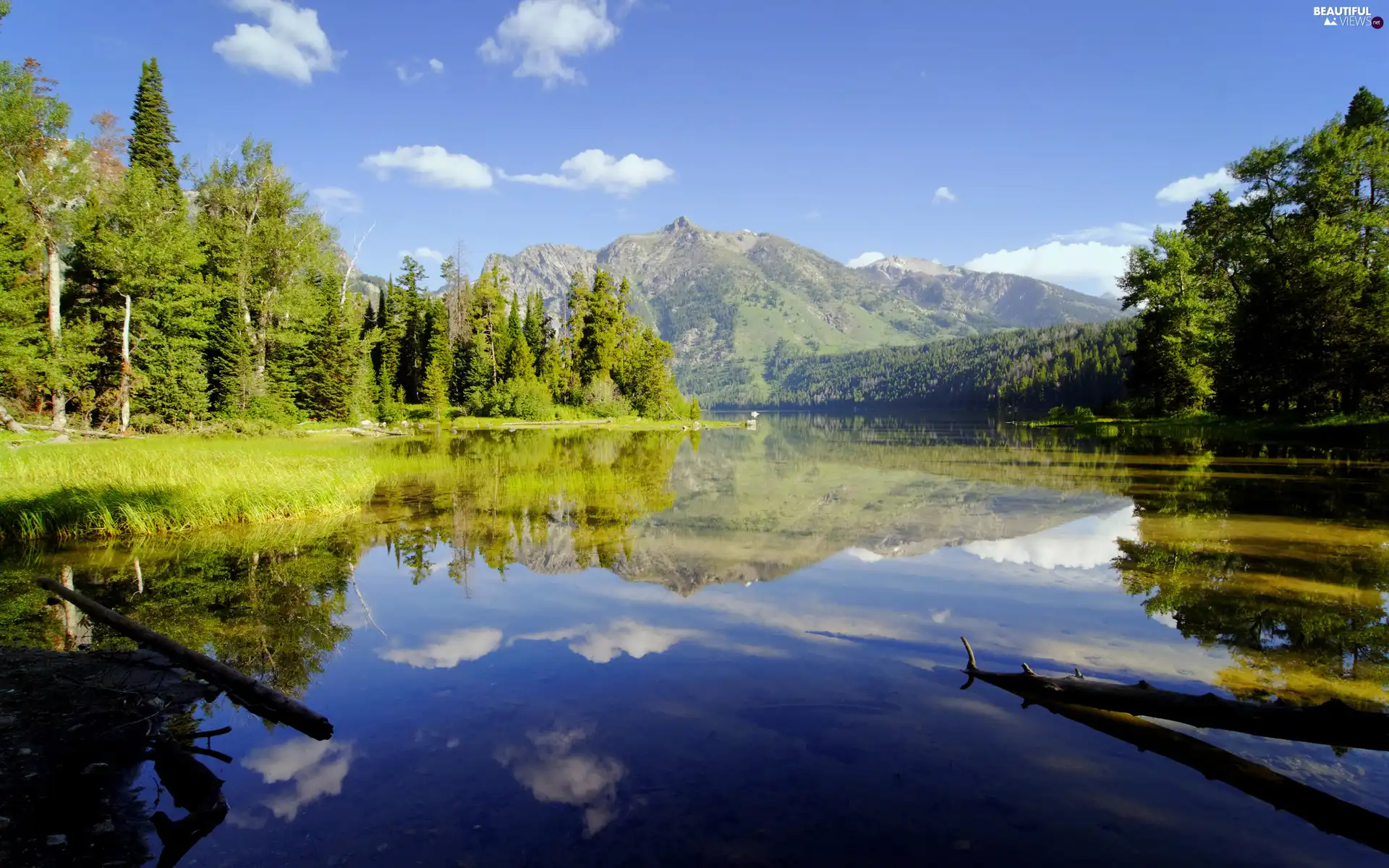 mountain, trees, viewes, lake