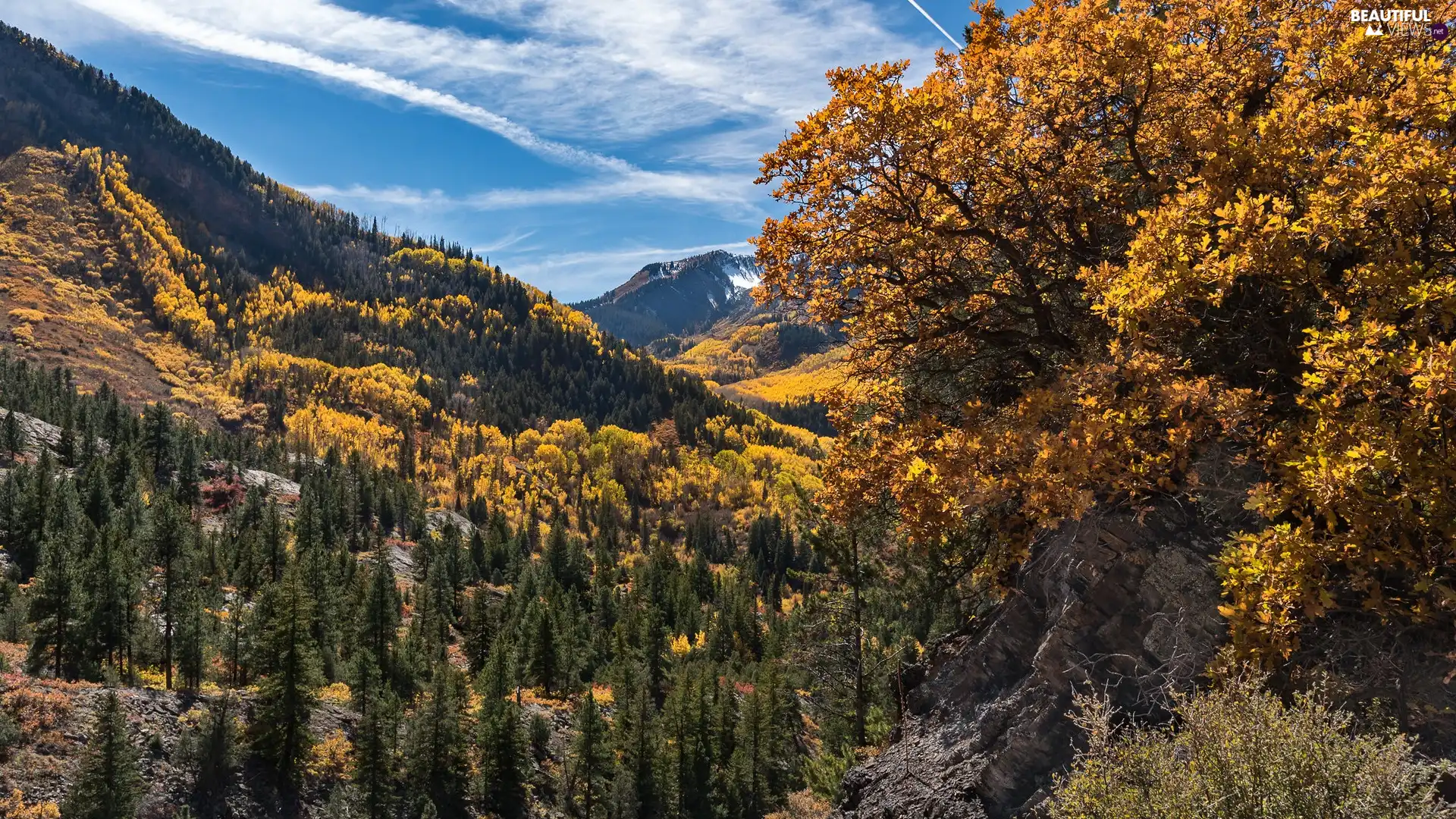 trees, viewes, Mountains, rocks, autumn