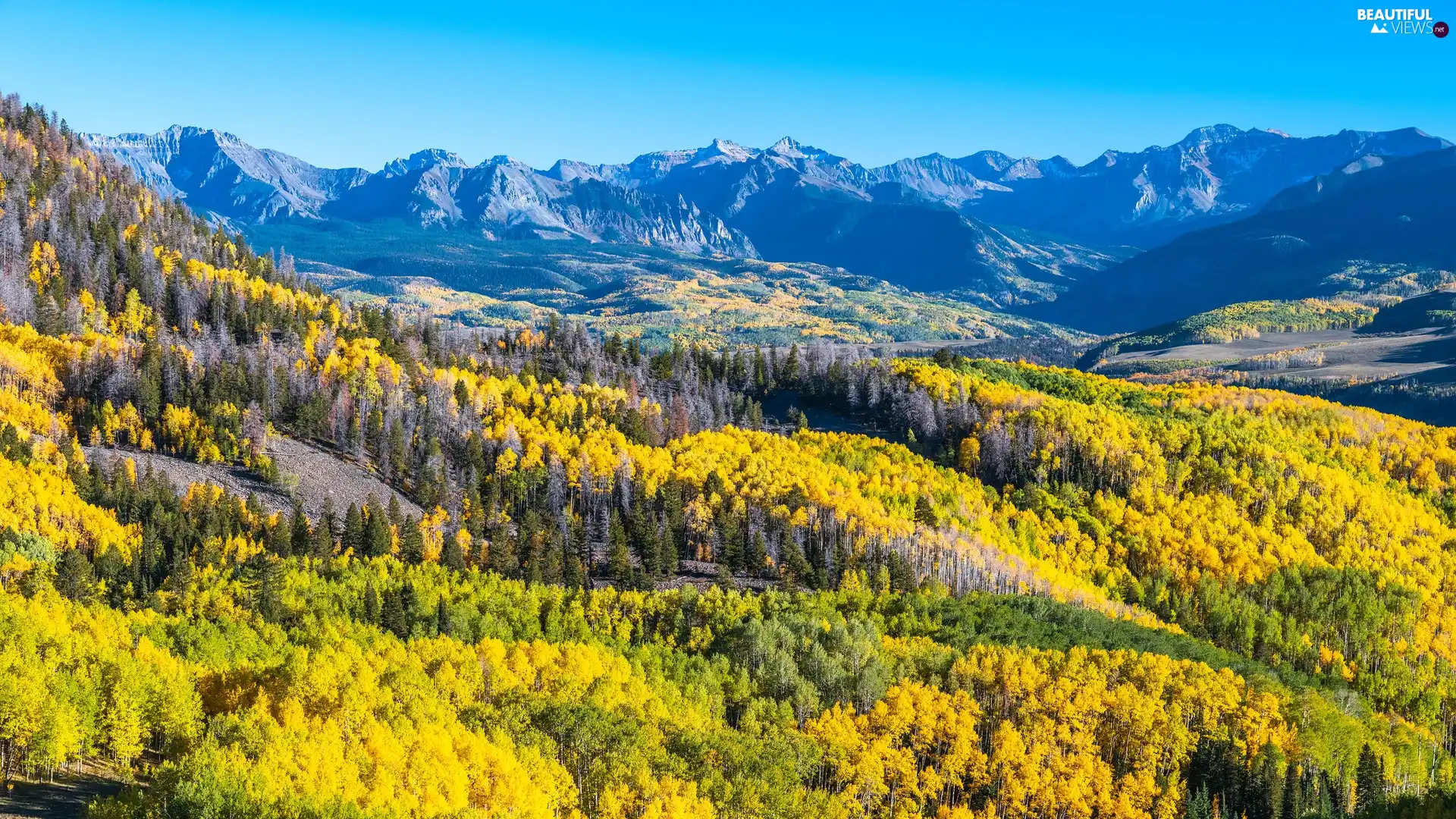 trees, viewes, Mountains, Yellowed, autumn