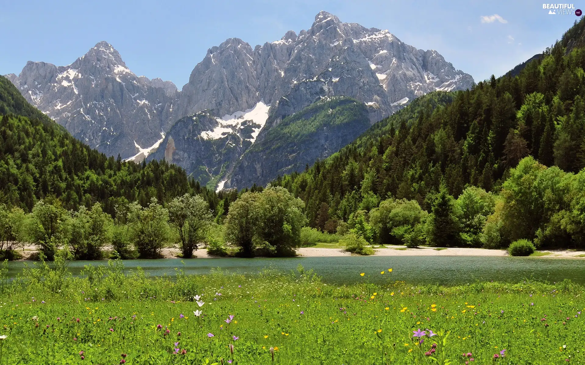 viewes, Mountains, lake, trees, Flowers