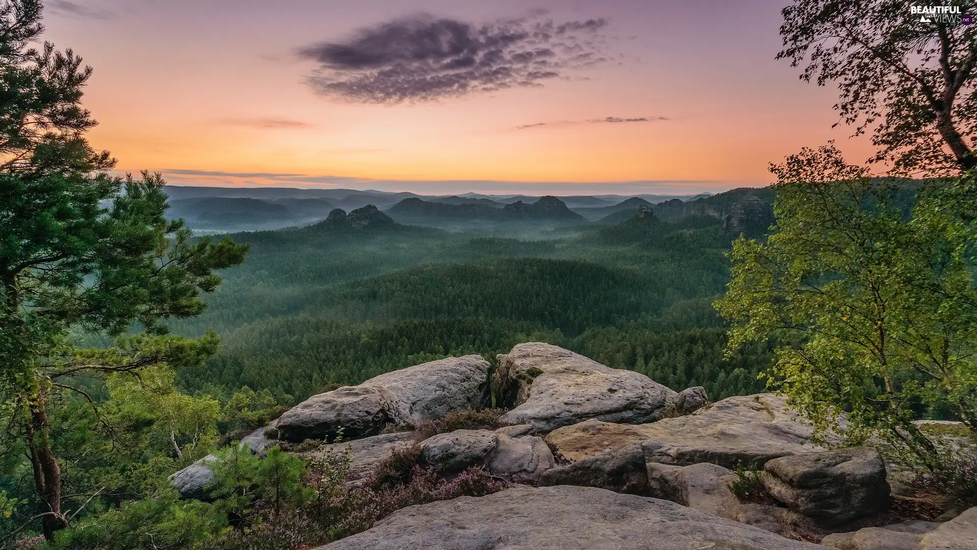 Fog, Sunrise, trees, viewes, rocks, Mountains