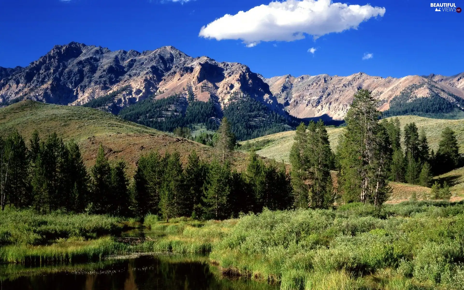 Mountains, trees, viewes, lake