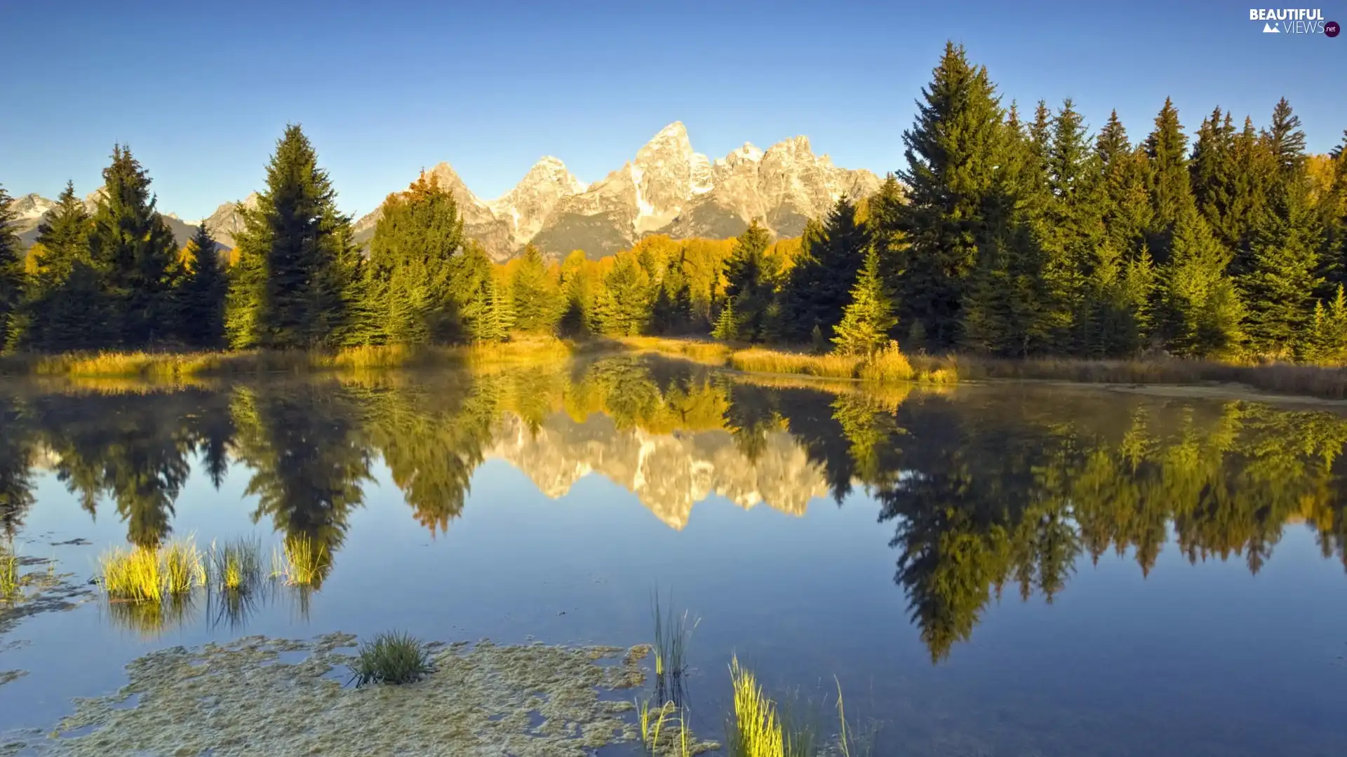 Mountains, trees, viewes, lake