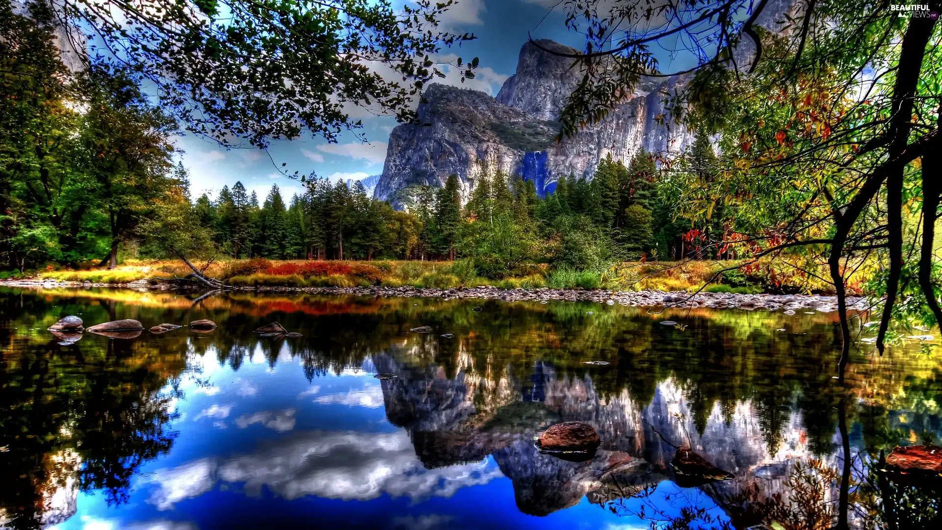 Mountains, trees, viewes, lake