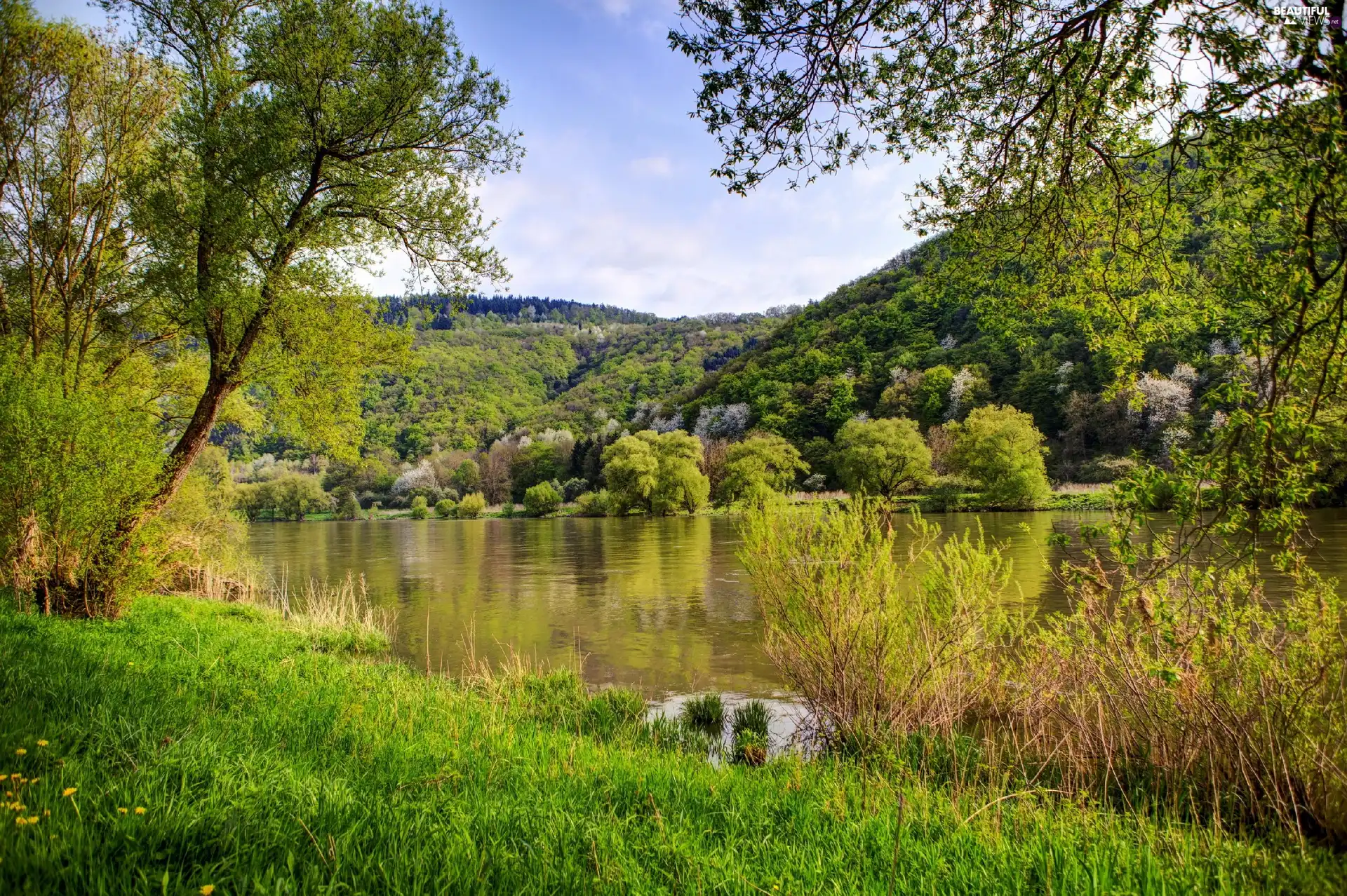 Mountains, trees, viewes, lake