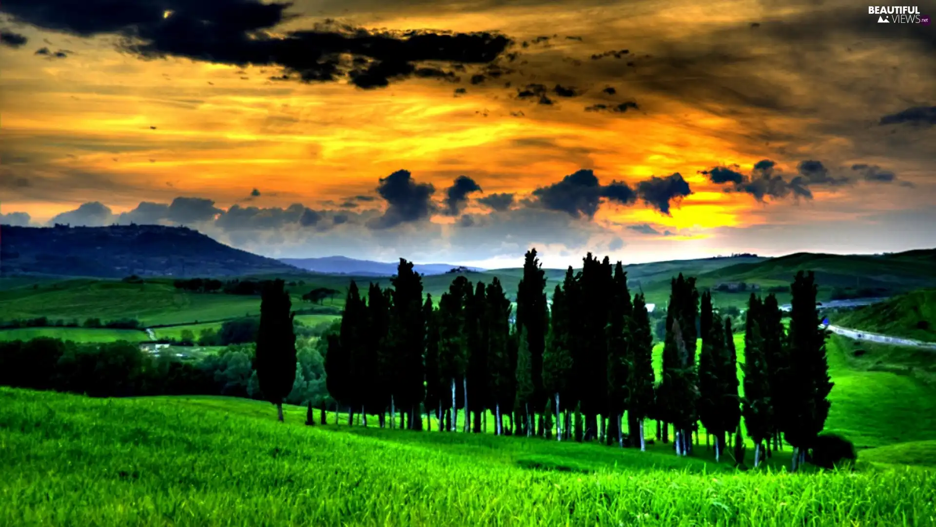 Mountains, trees, viewes, Meadow