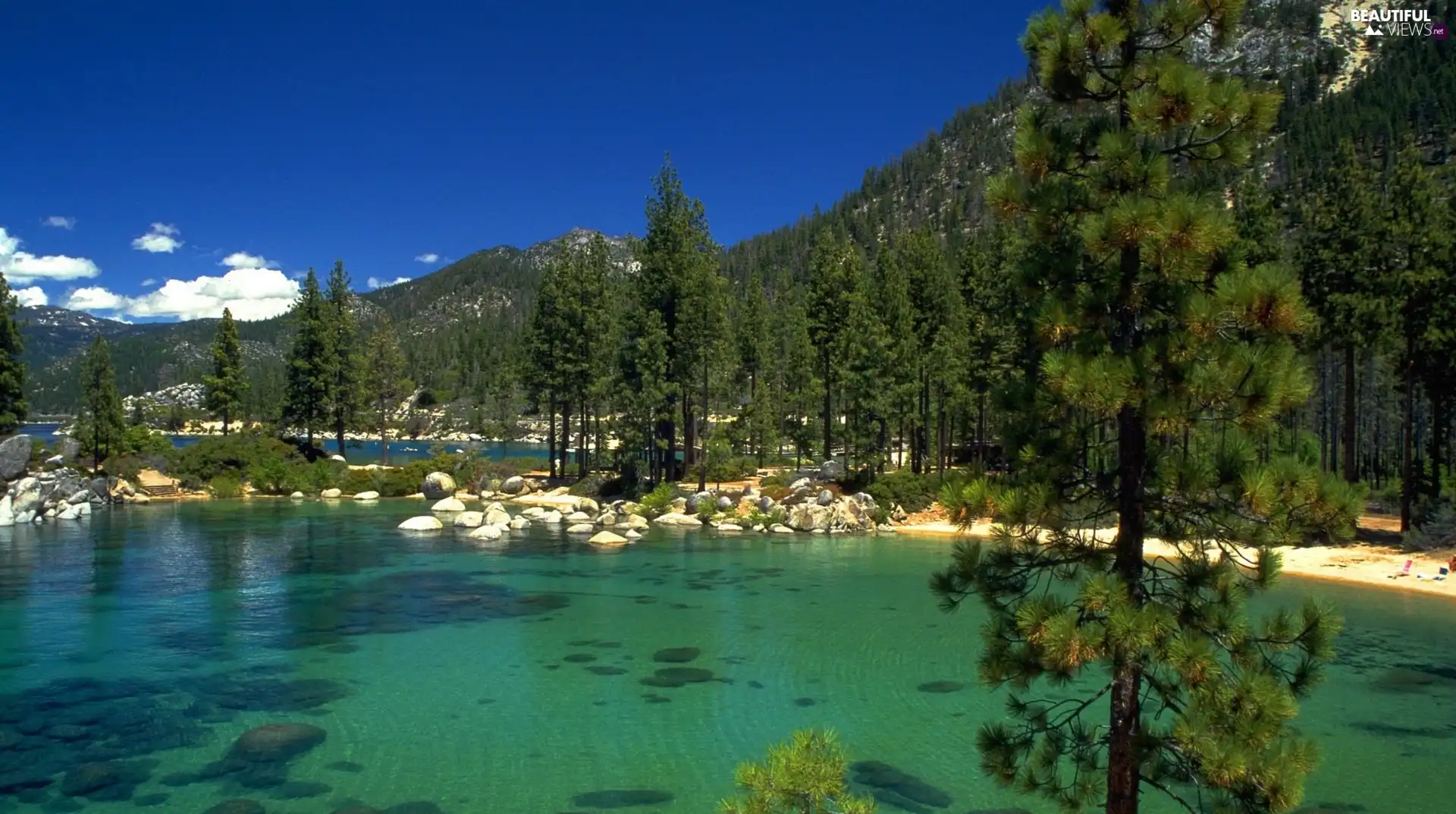 Mountains, trees, viewes, River