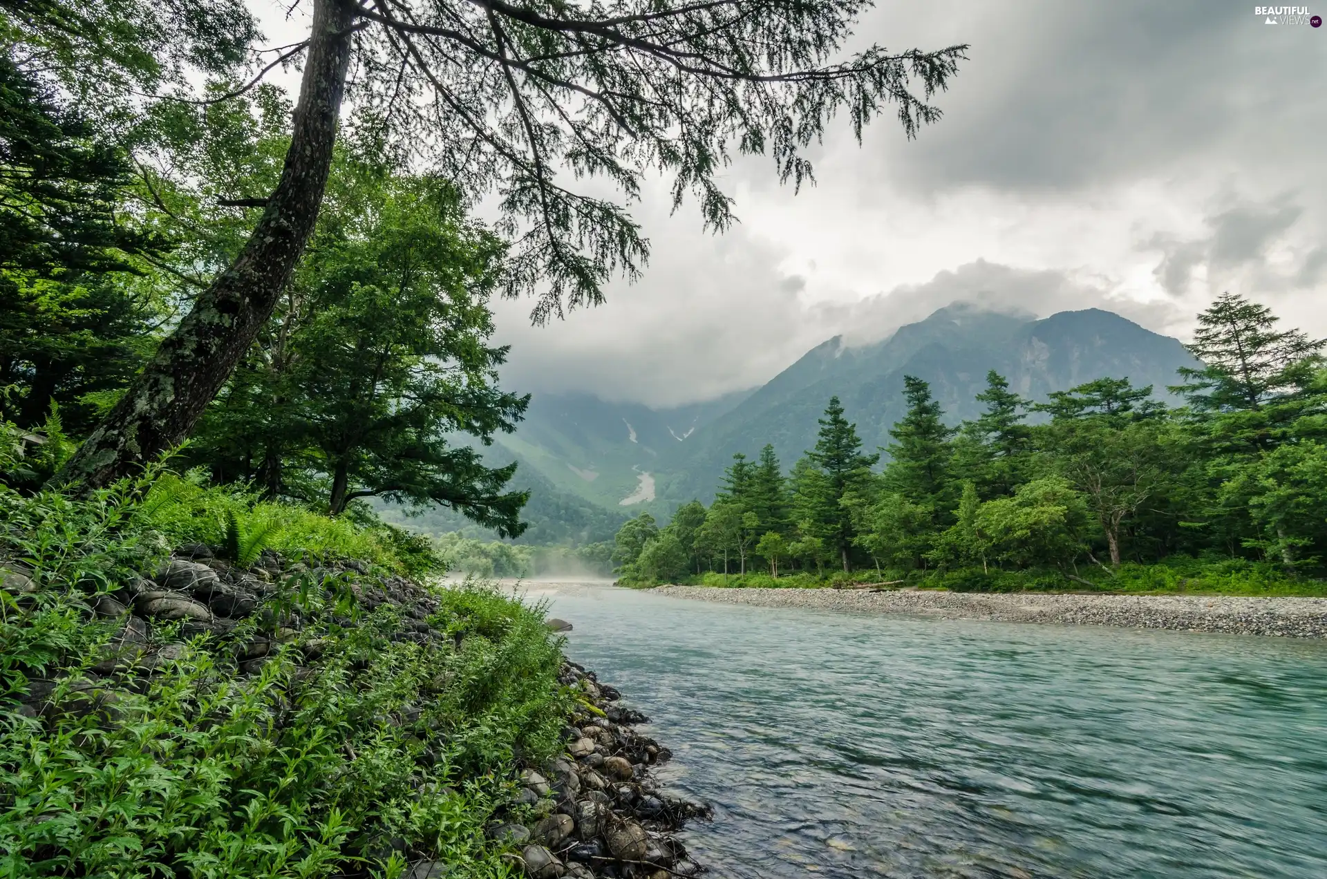 Mountains, trees, viewes, River