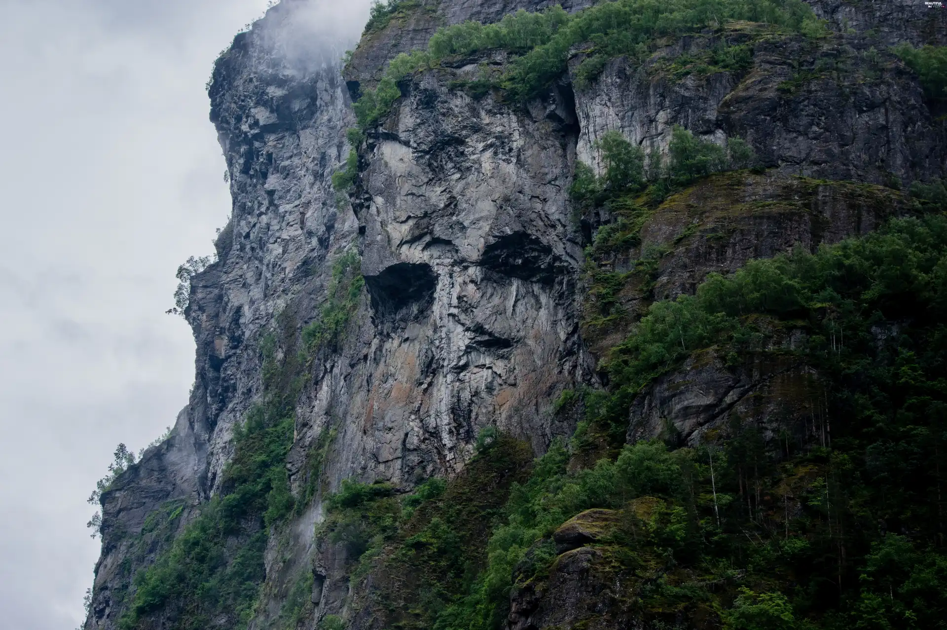 Mountains, trees, viewes, rocks