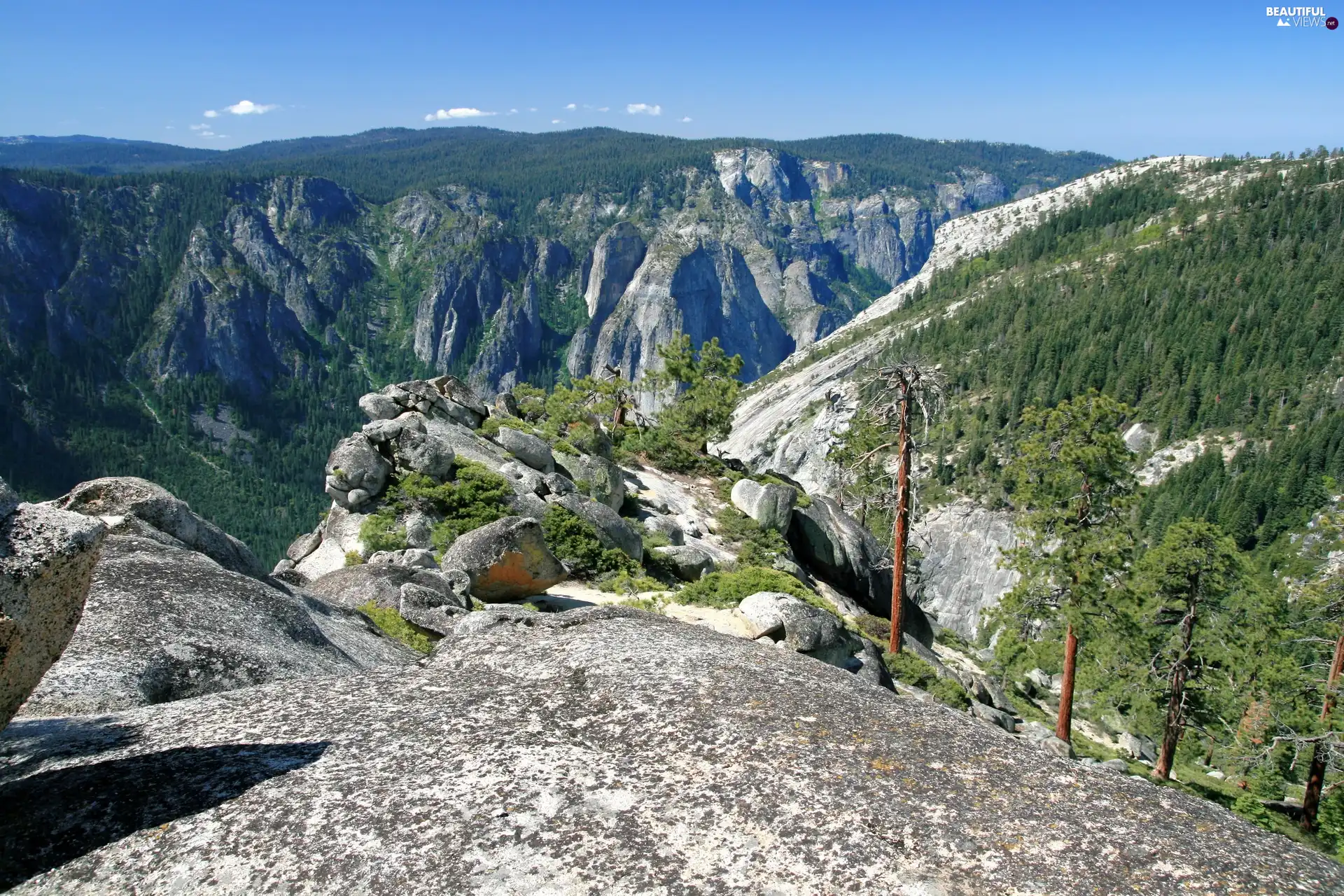 Mountains, trees, viewes, rocks