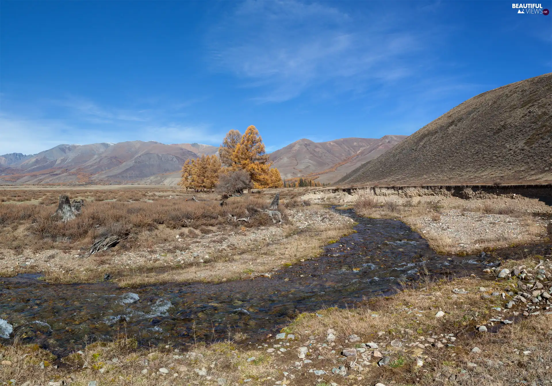 stream, autumn, trees, viewes, Stones, Mountains