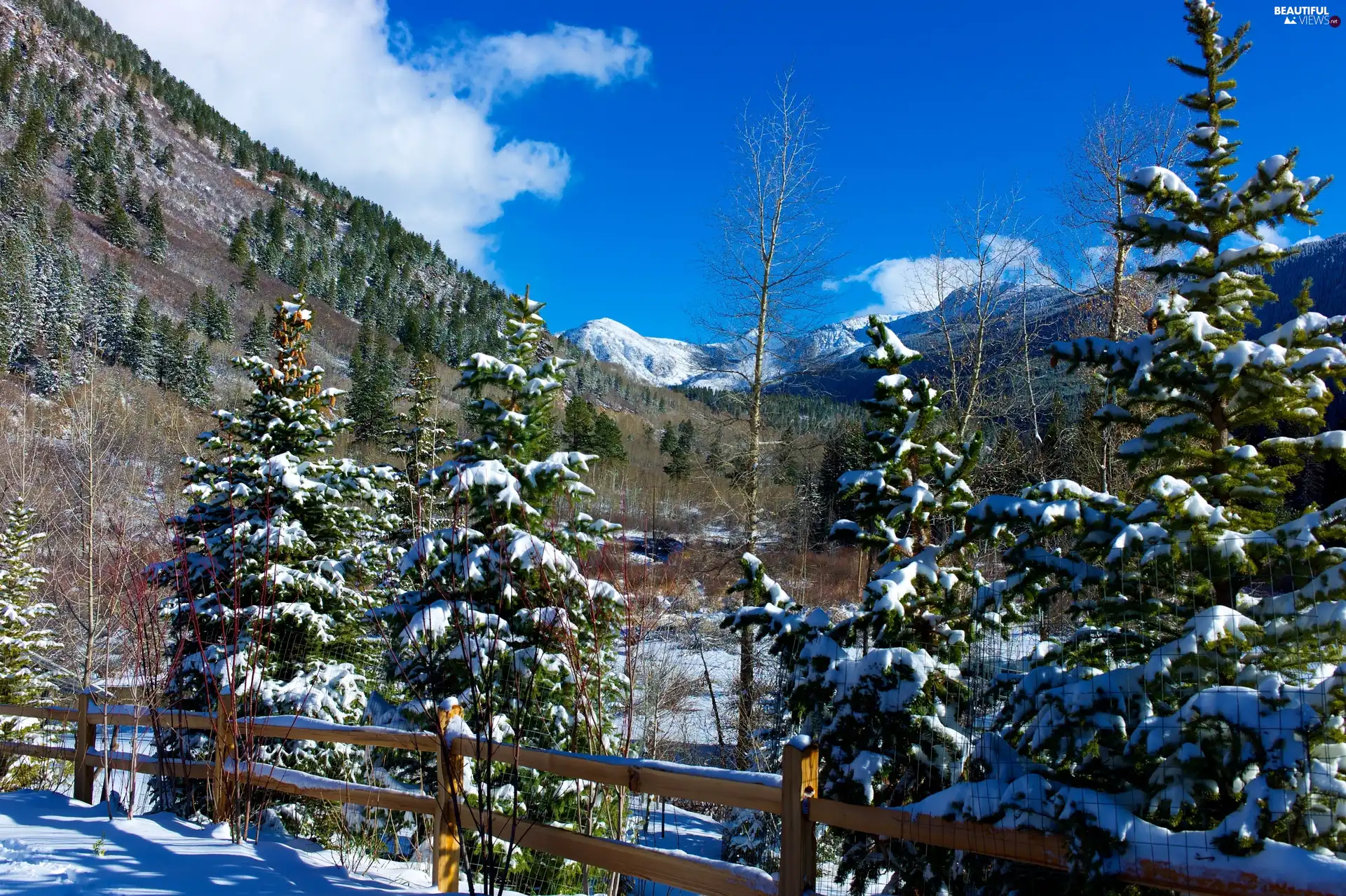 viewes, Mountains, Hurdle, trees, winter