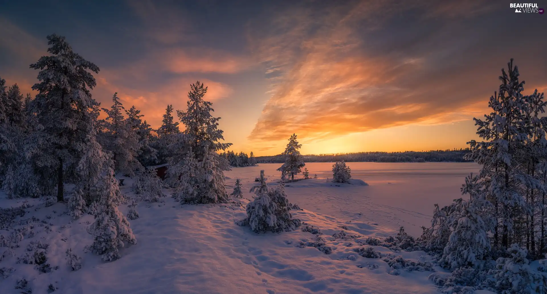 forest, Ringerike Municipality, Great Sunsets, trees, frozen, Norway, winter, viewes, Snowy, lake