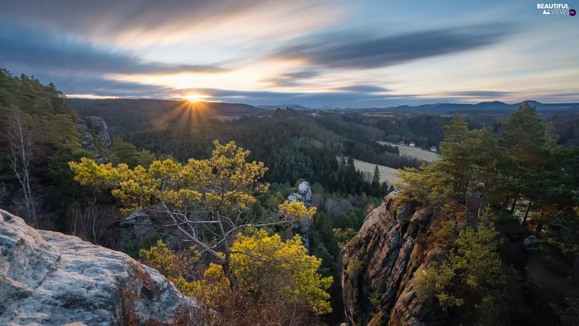 Děčínská vrchovina, trees, rays of the Sun, viewes, rocks, Saxon Switzerland National Park, Germany, woods