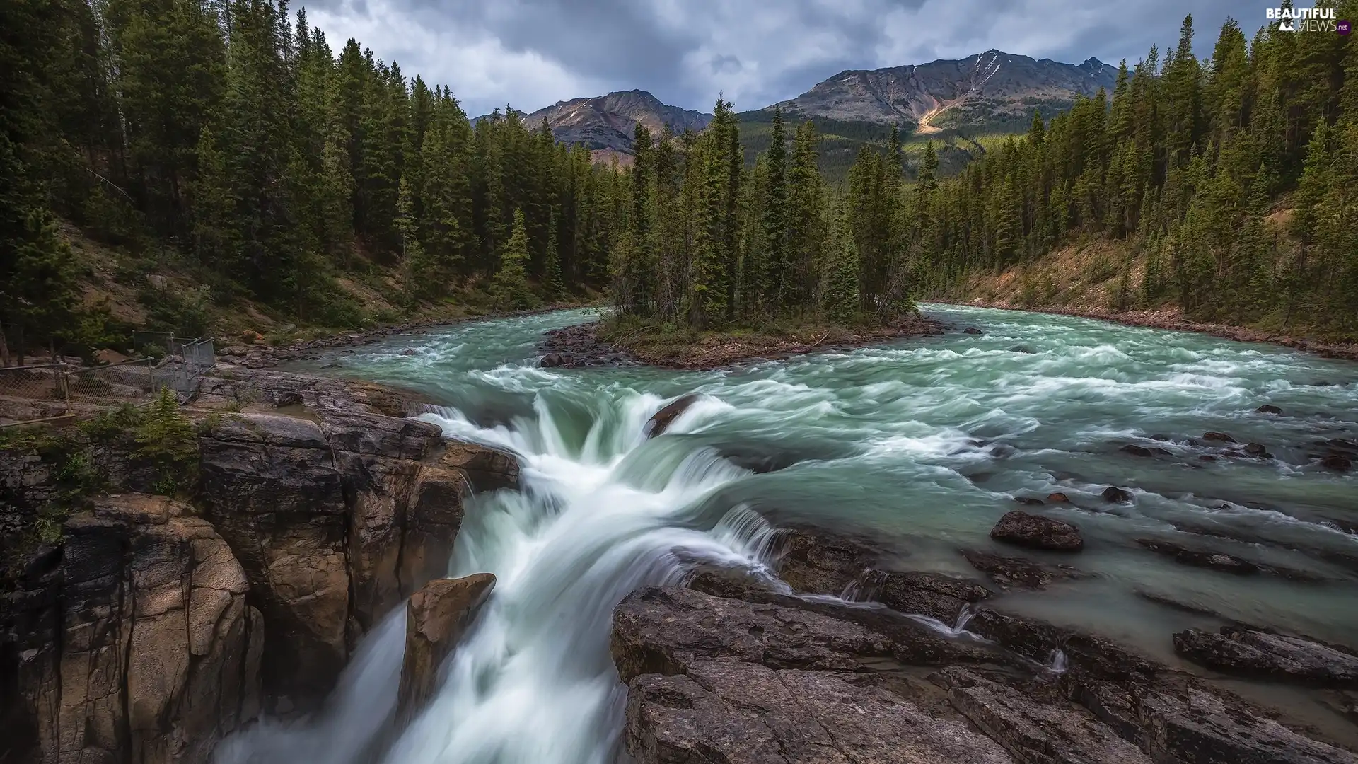 Jasper National Park, Province of Alberta, Mountains, Canada, viewes, Sunwapta Waterfall, Sunwapta River, trees