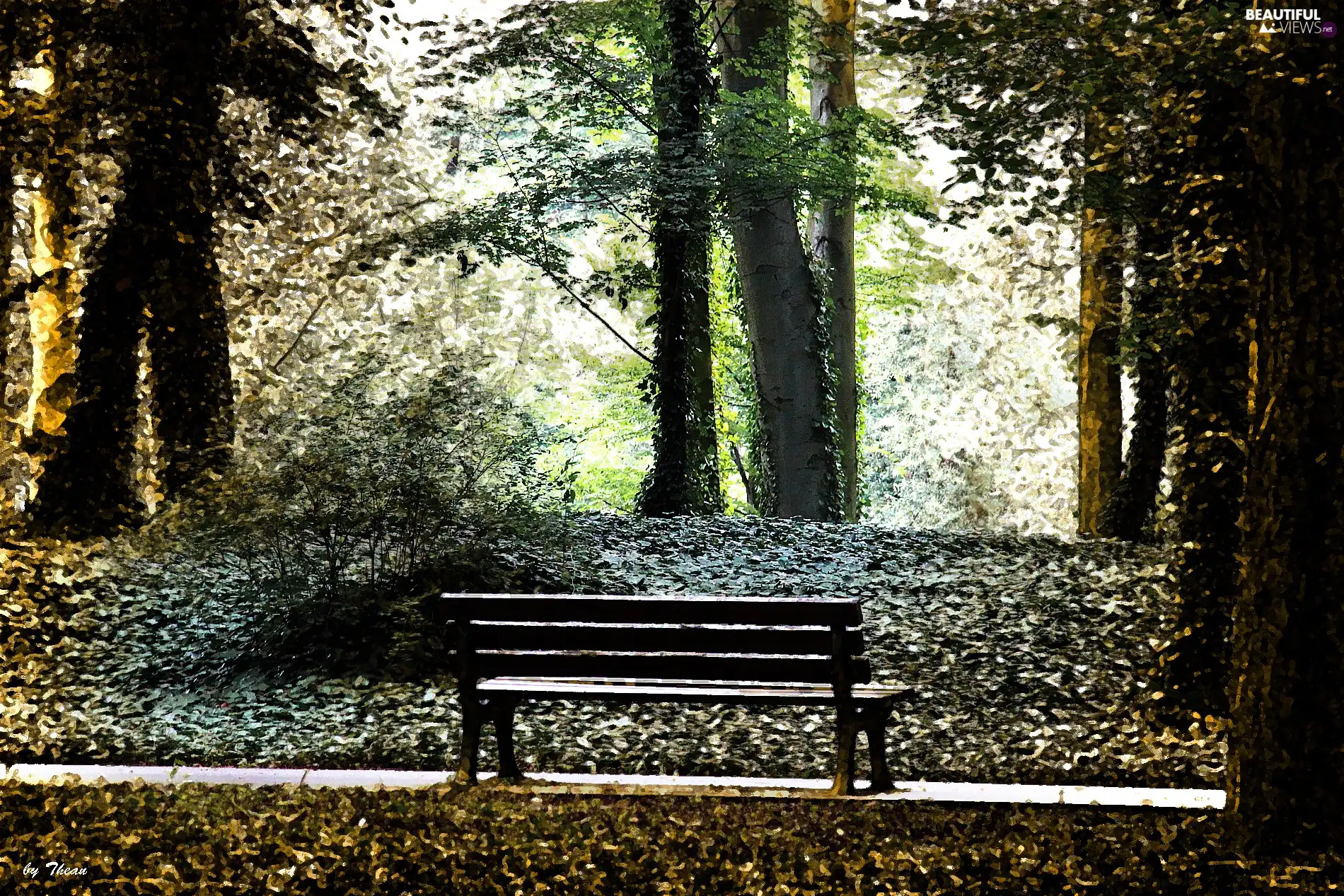 Park, trees, viewes, Bench
