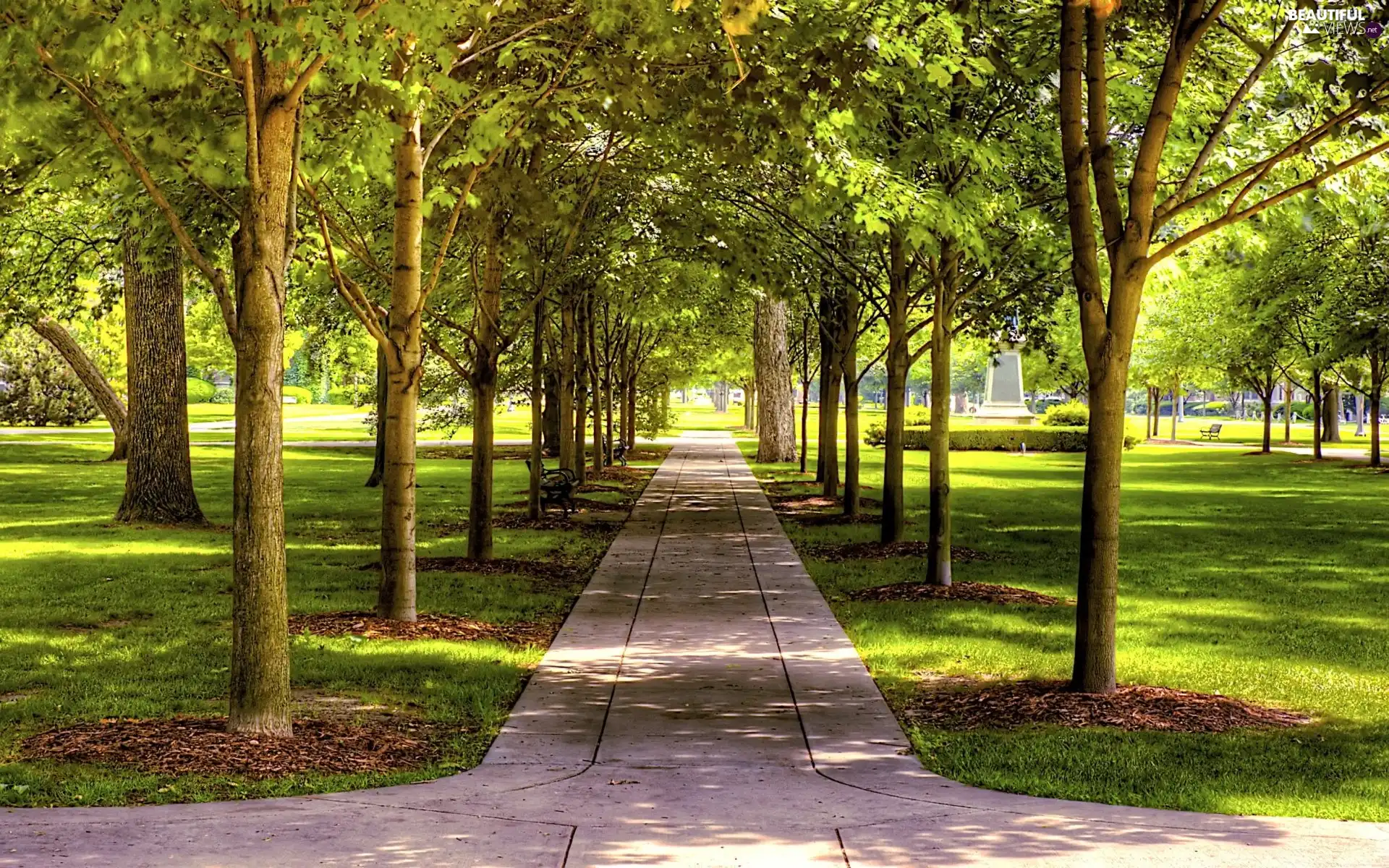 Park, trees, viewes, lane