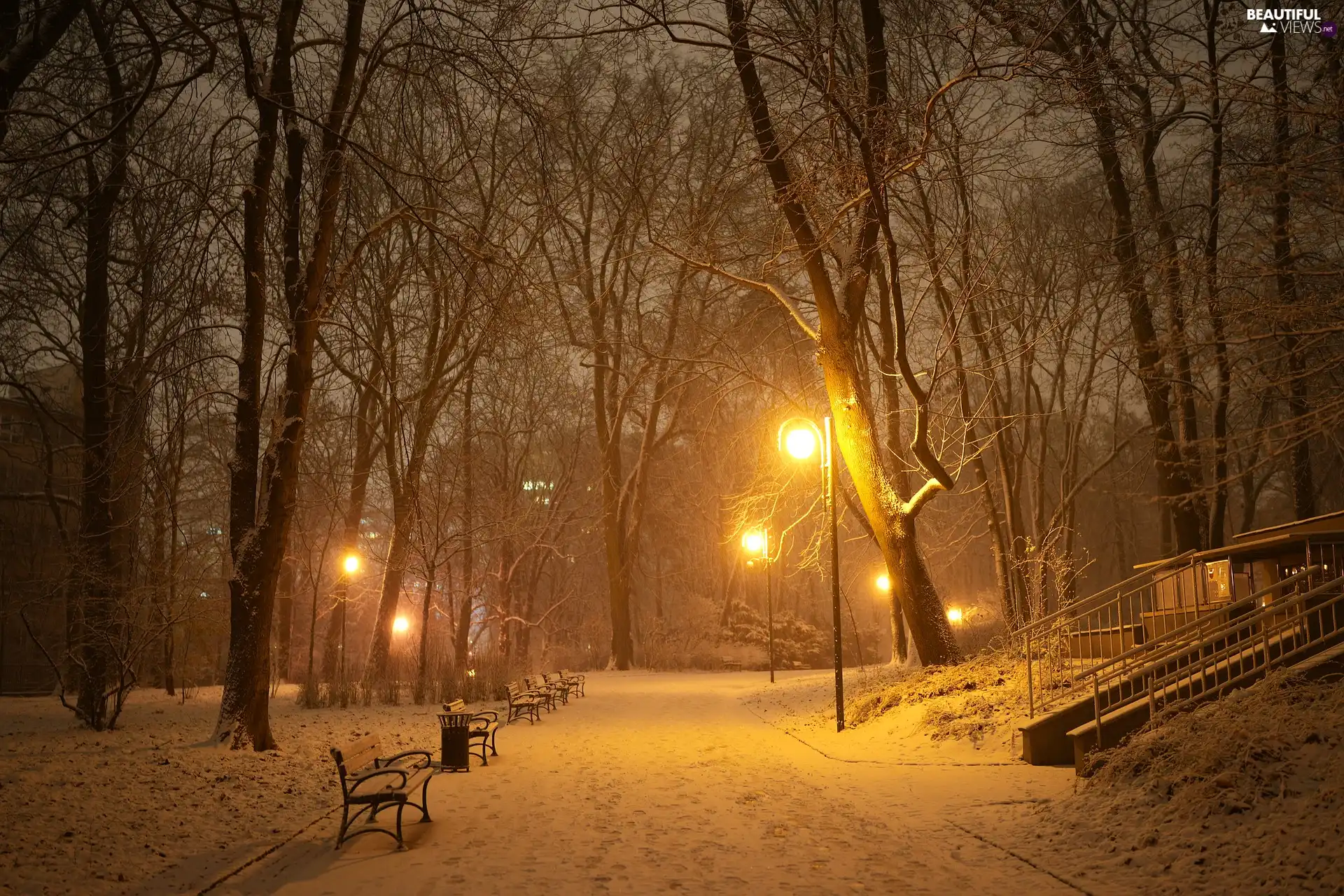 Night, winter, trees, viewes, lanterns, Park