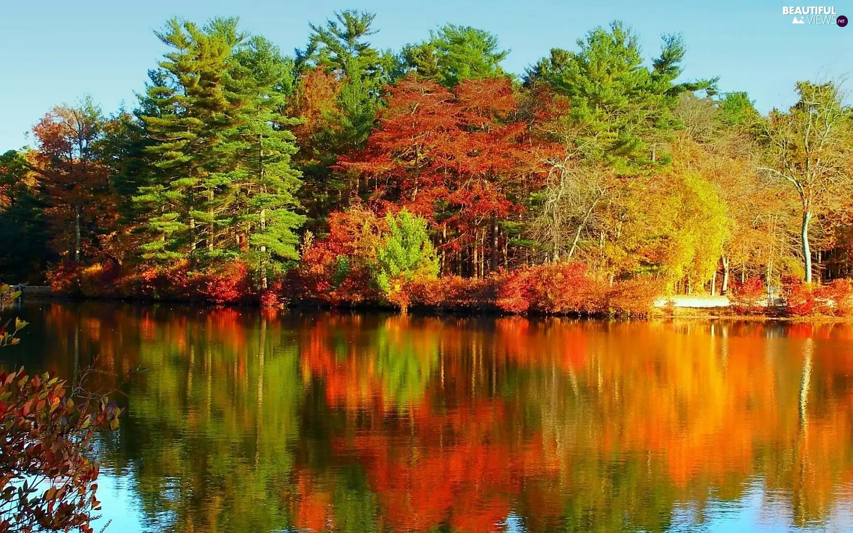 trees, Colours, River, autumn, color, viewes, reflection