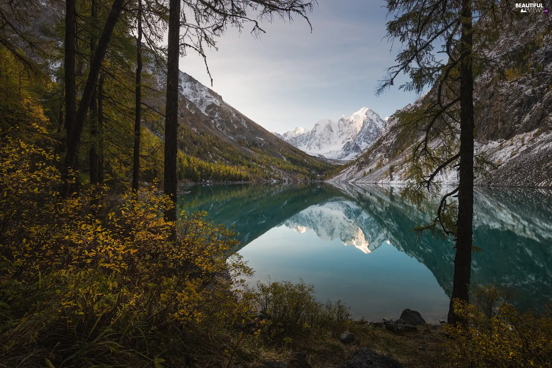 viewes, Altai Mountains, Altai Republic, trees, Szawlinskie Lake, reflection, Russia