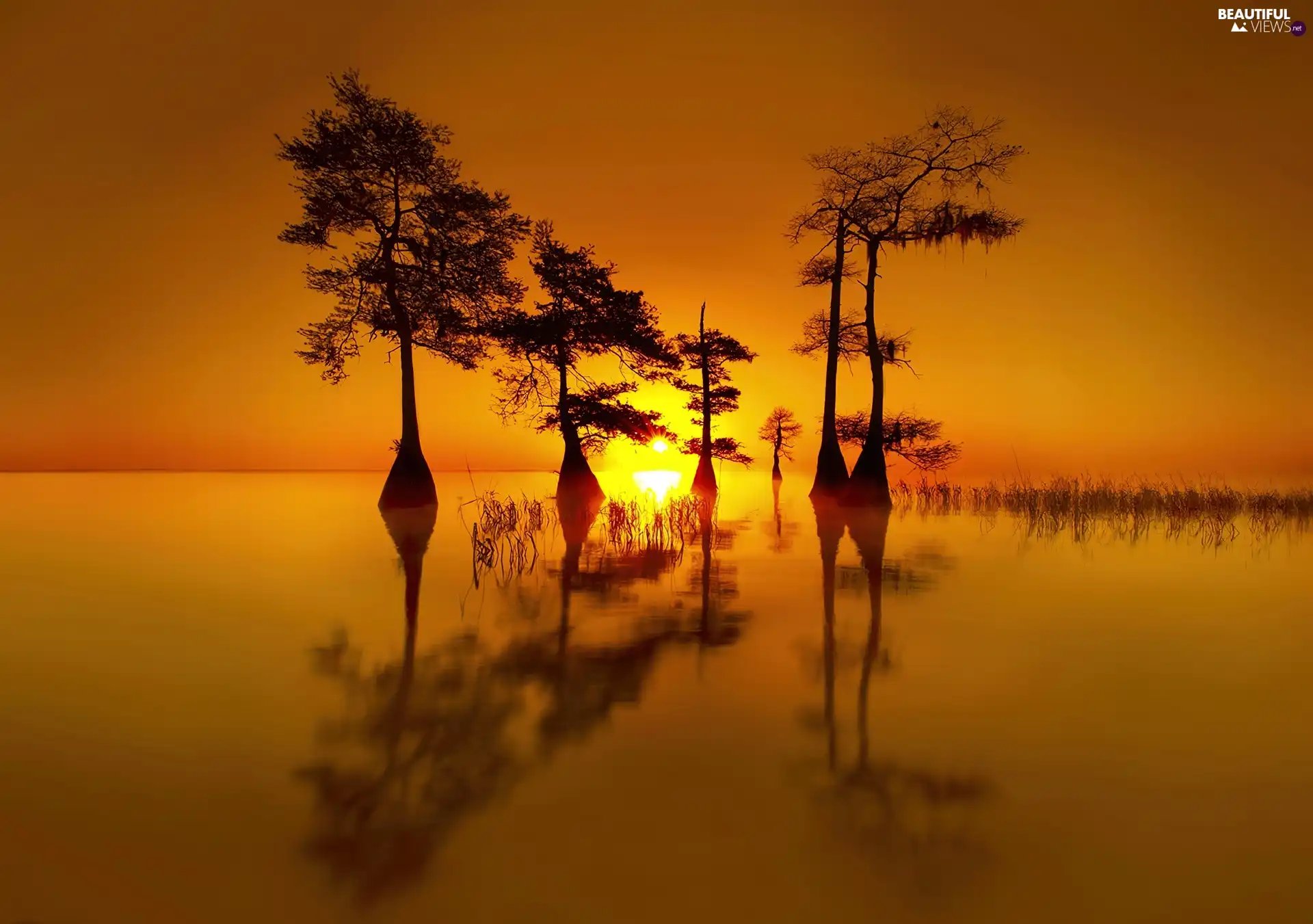 lake, west, viewes, reflection, trees, sun