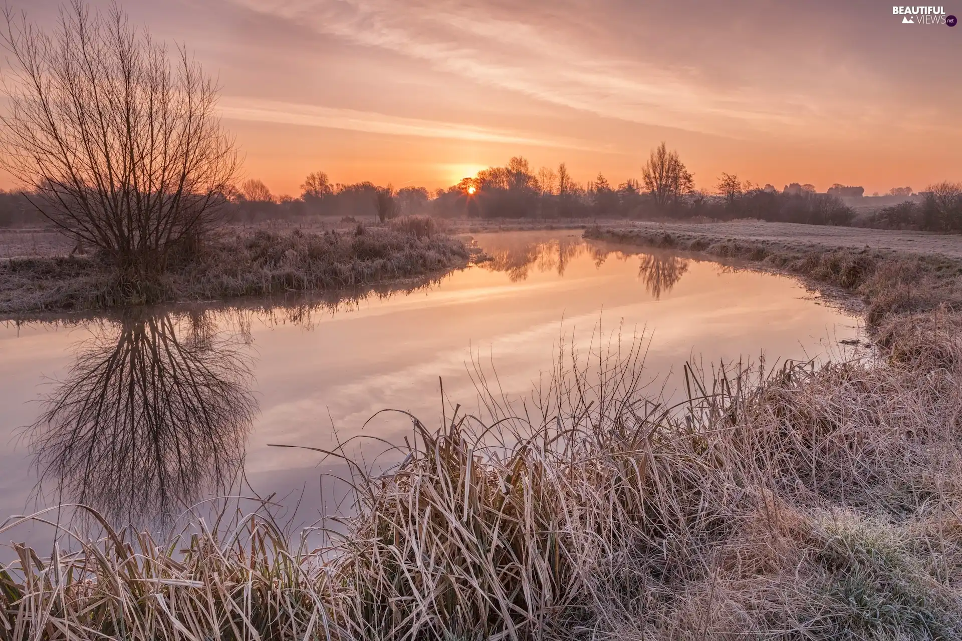 sun, River, viewes, rime, trees, west