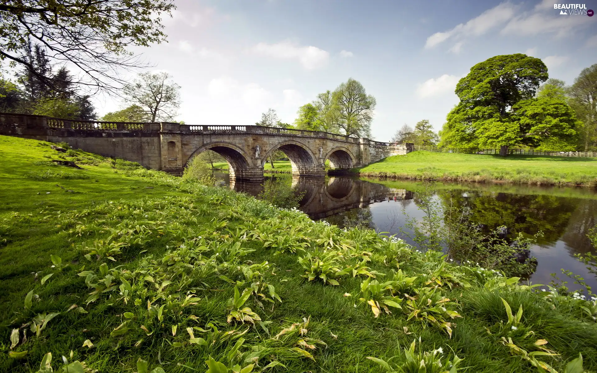 trees, viewes, River, bridge, grass