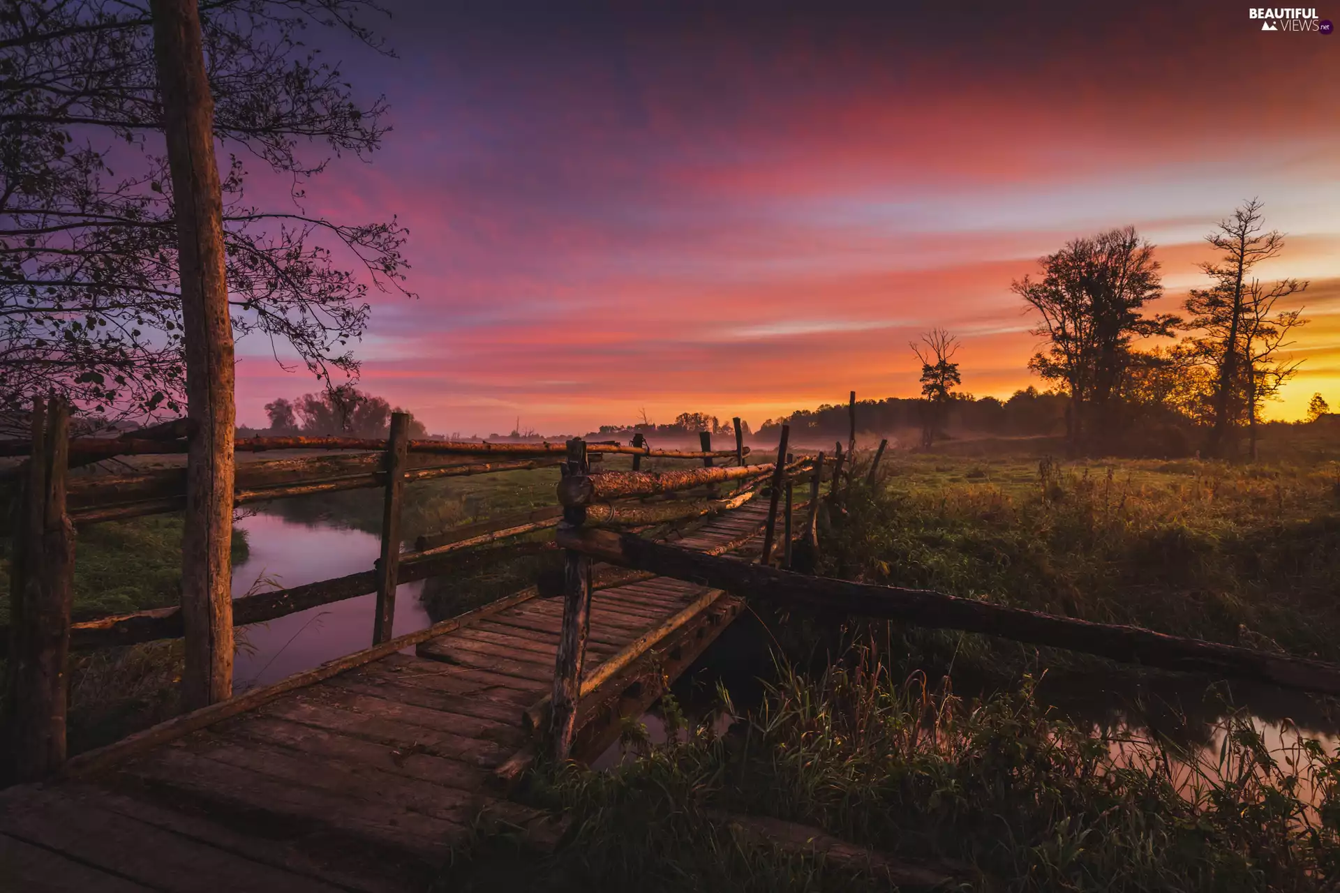 trees, viewes, River, bridge, Sunrise