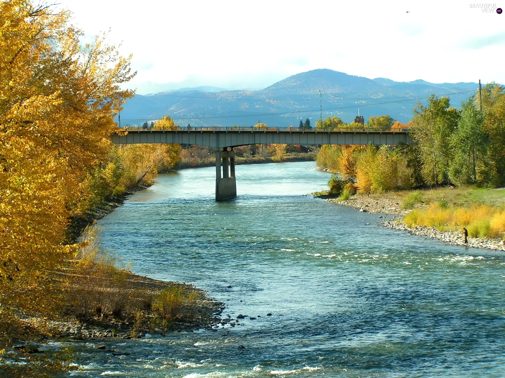 River, trees, viewes, bridge