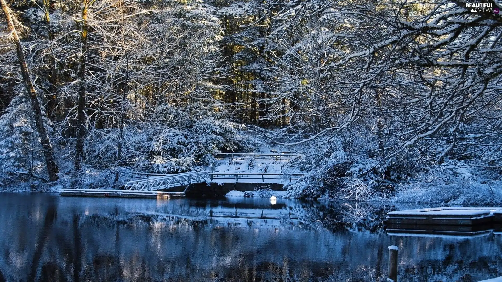 River, trees, viewes, bridges