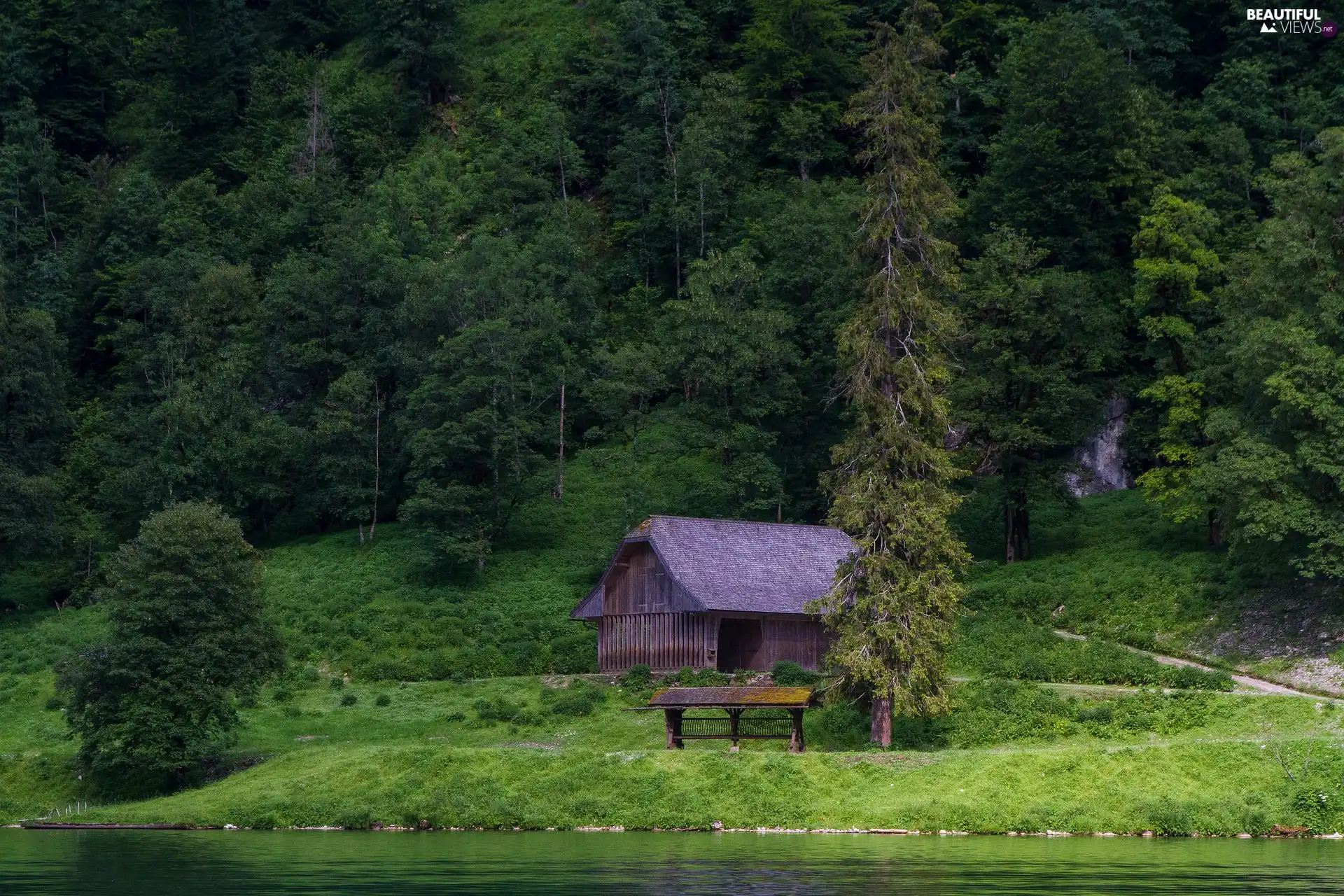 cote, forest, trees, viewes, Pasturage, River