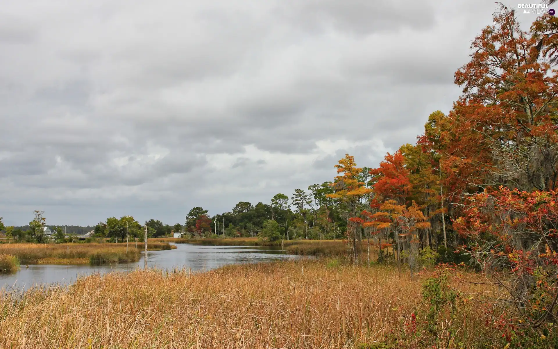 River, trees, viewes, grass