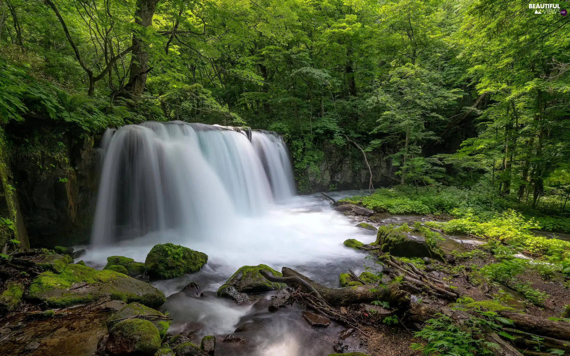 Stones, trees, River, viewes, forest, waterfall, green