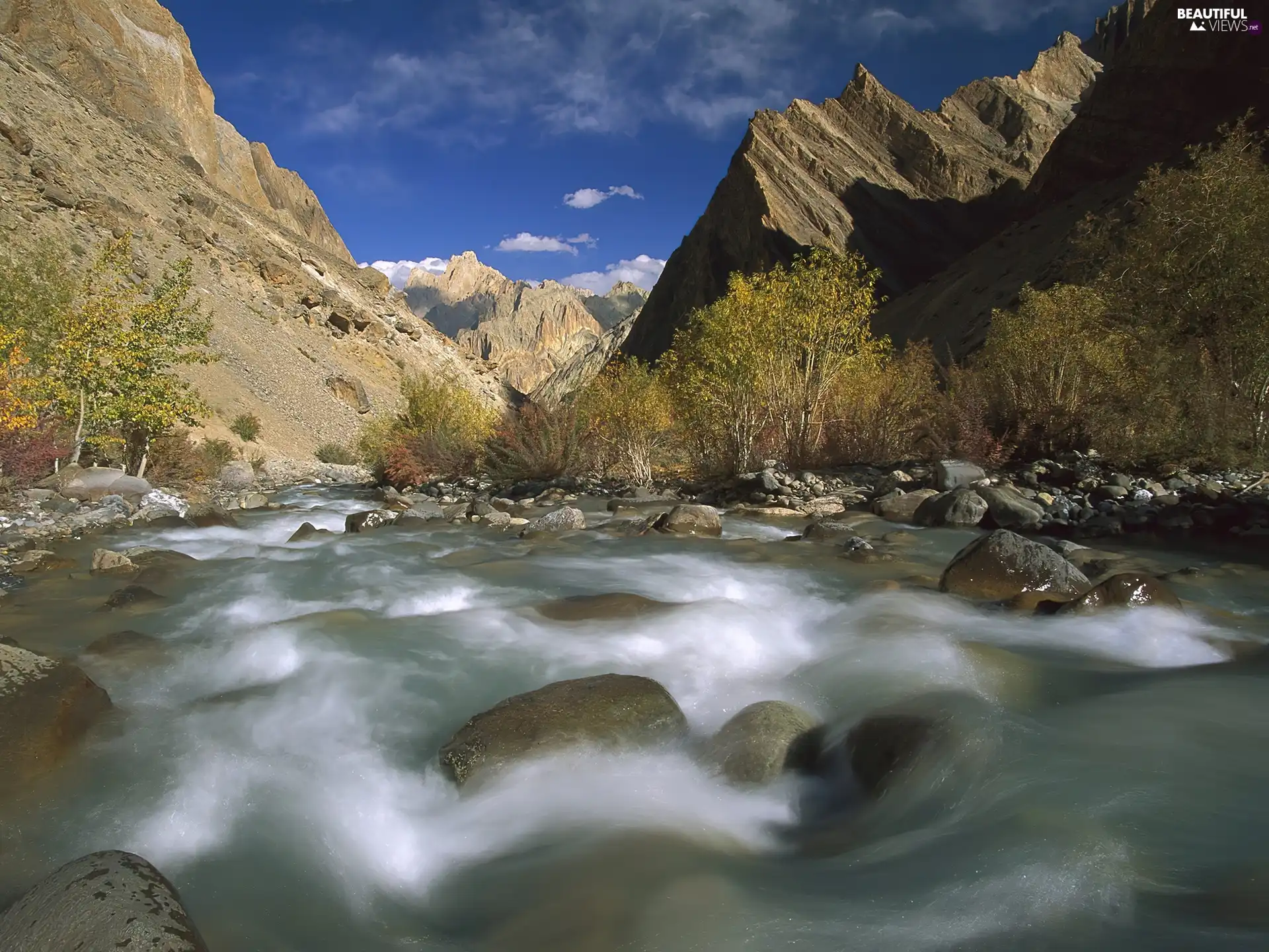 River, trees, viewes, Mountains