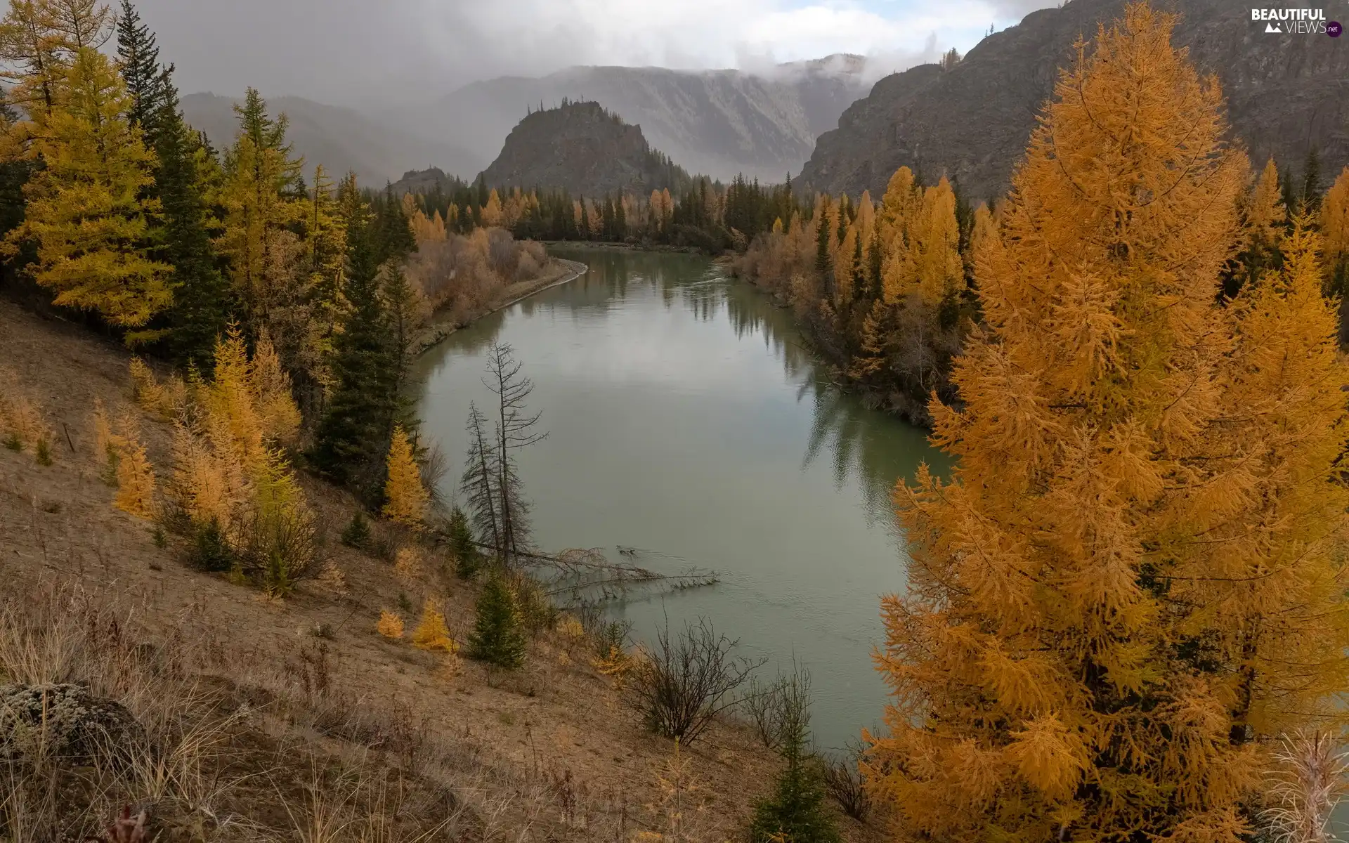 Mountains, autumn, trees, viewes, Yellowed, River