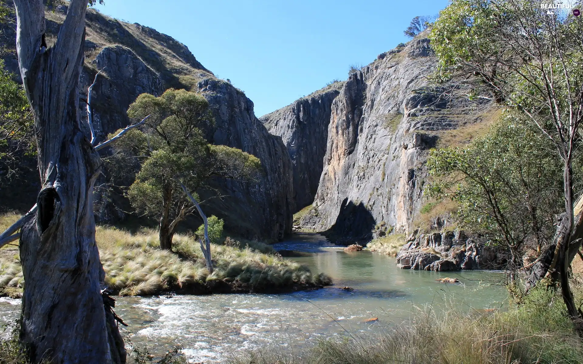 River, trees, viewes, rocks