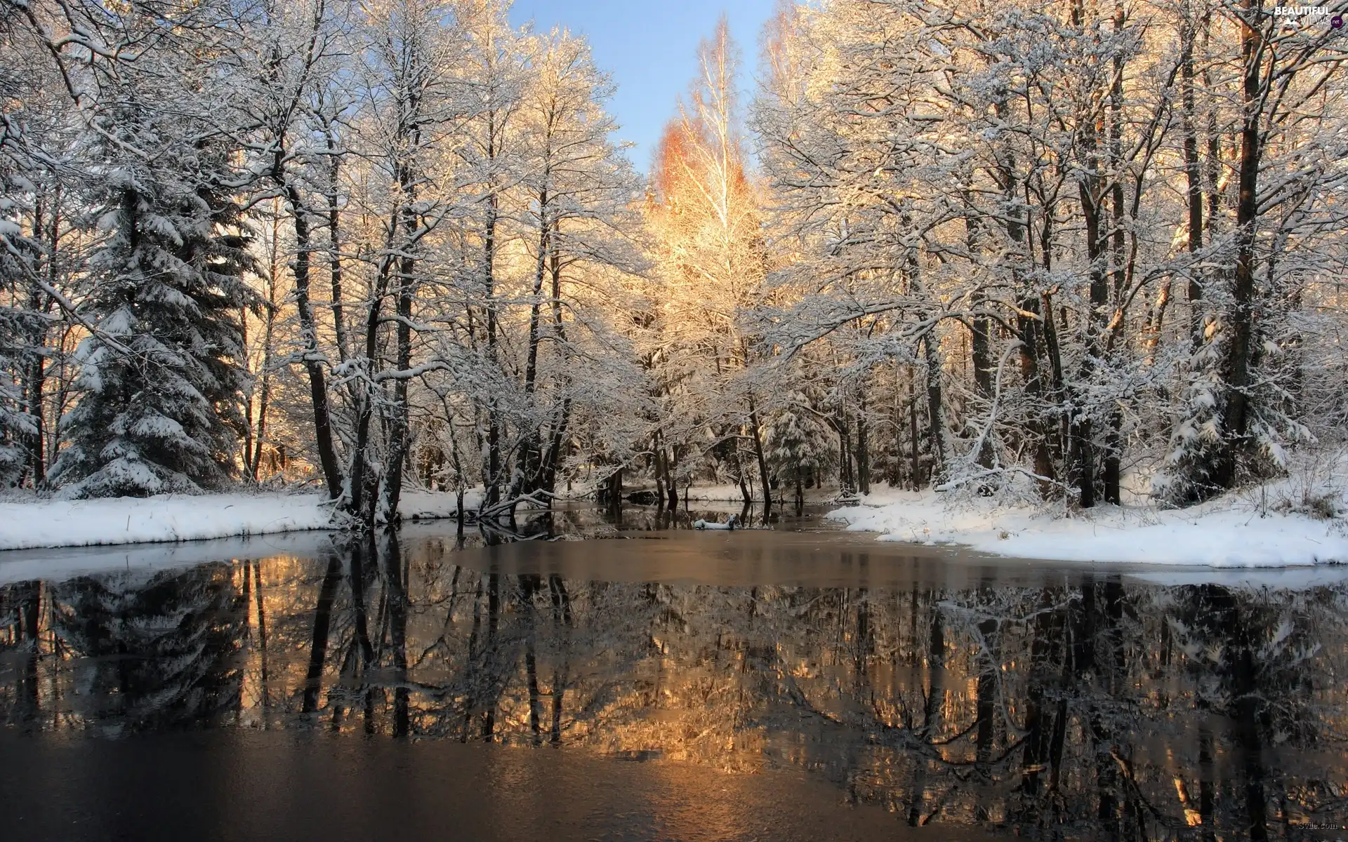 River, trees, viewes, snow