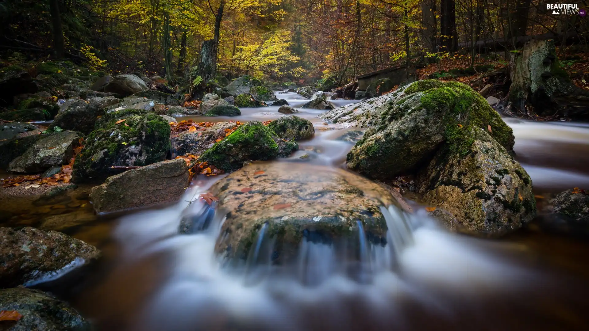 Stones, forest, trees, viewes, boulders, River