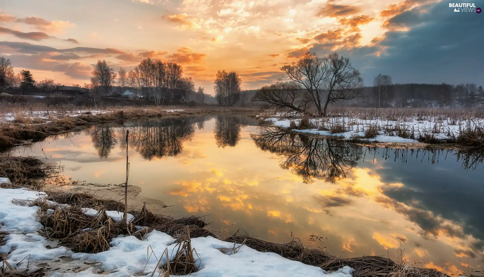 trees, viewes, River, leafless, winter