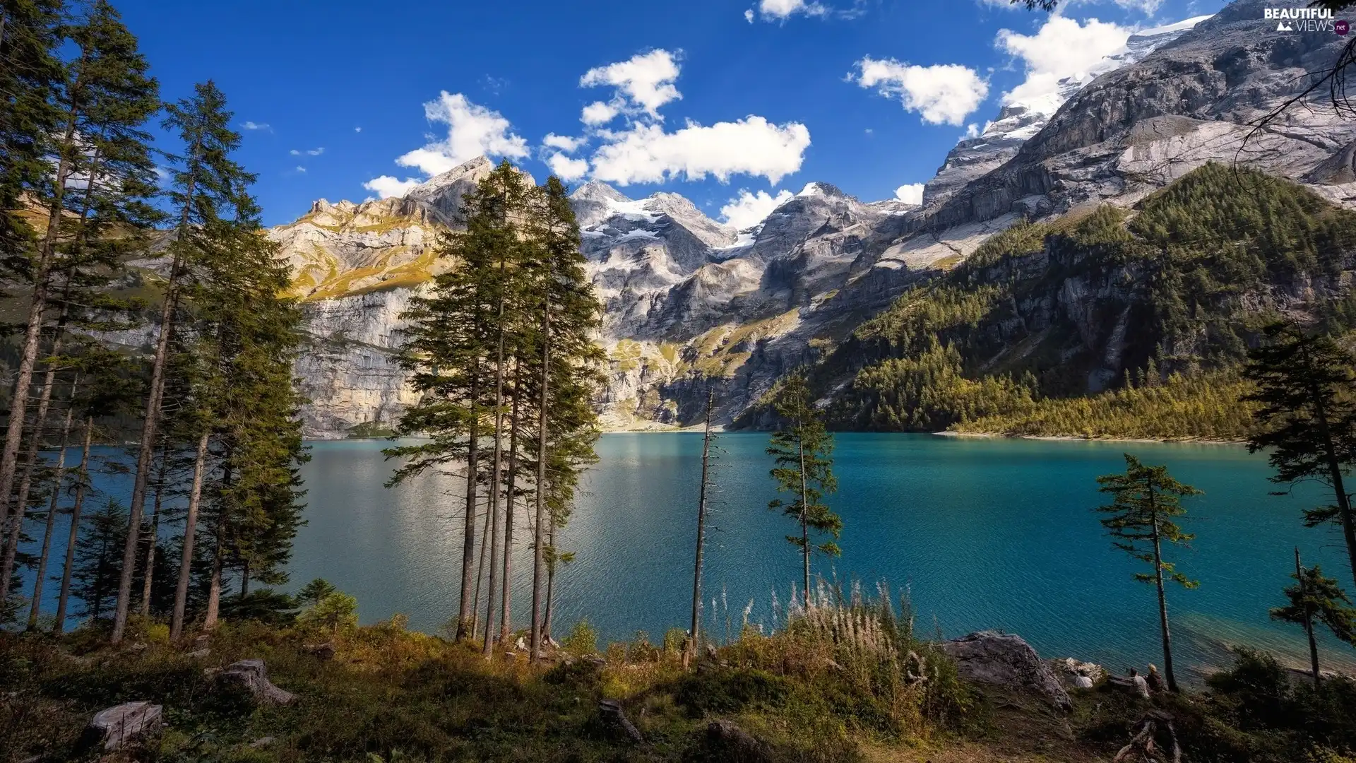 trees, viewes, Rocky, Mountains, lake