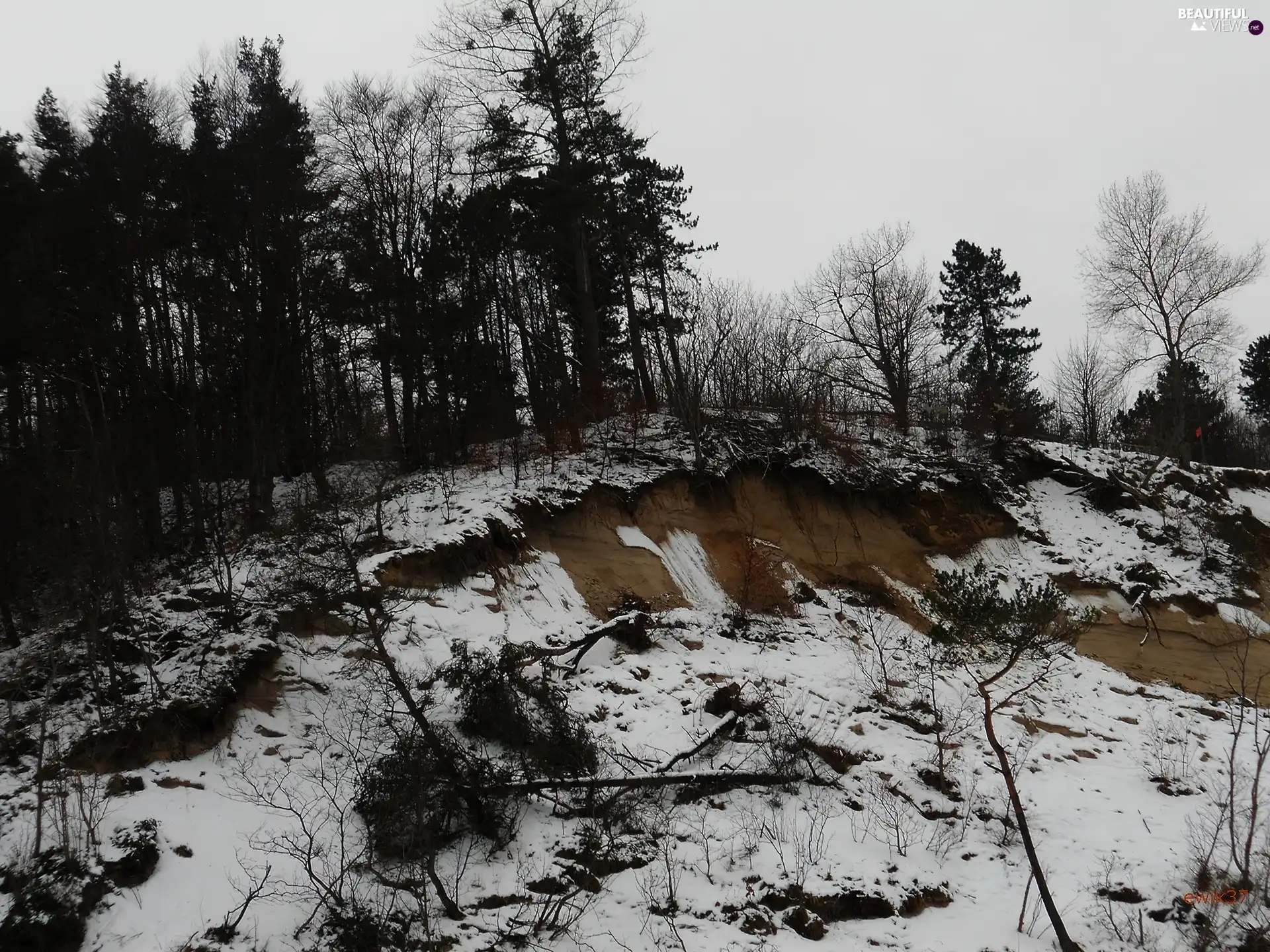 scarp, trees, viewes, broken