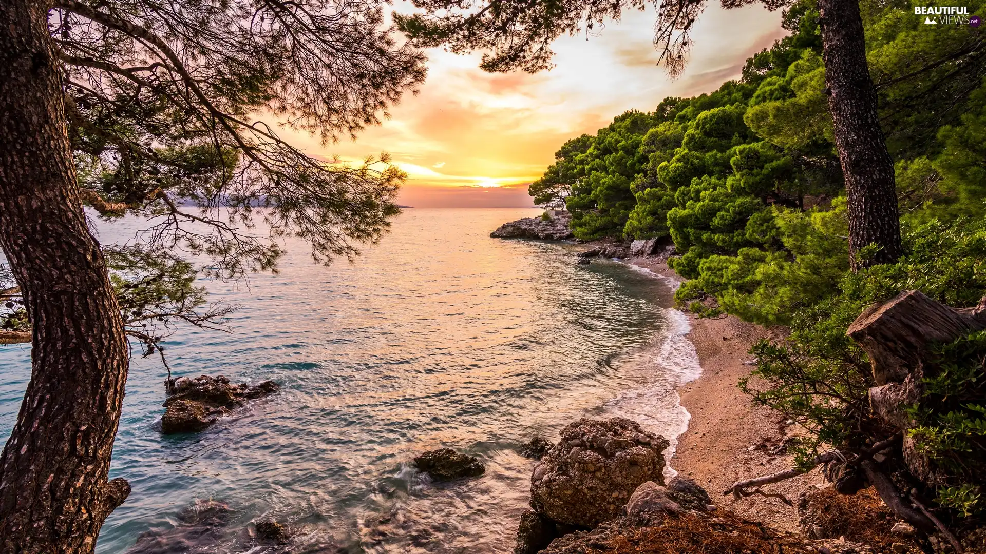 green ones, sea, viewes, Sunrise, trees, rocks