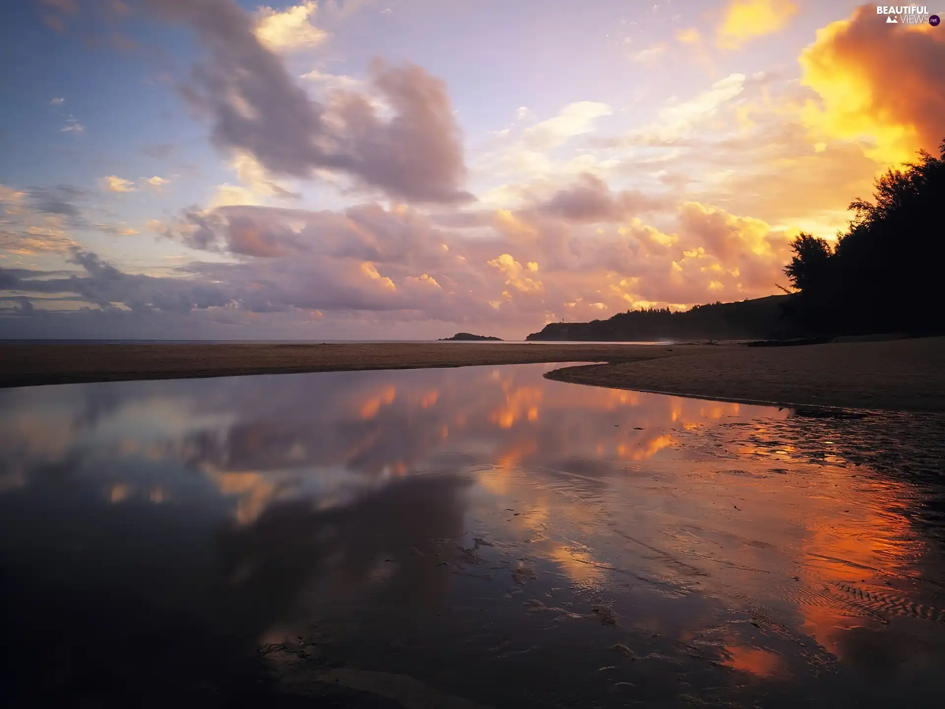 sea, trees, viewes, Beaches