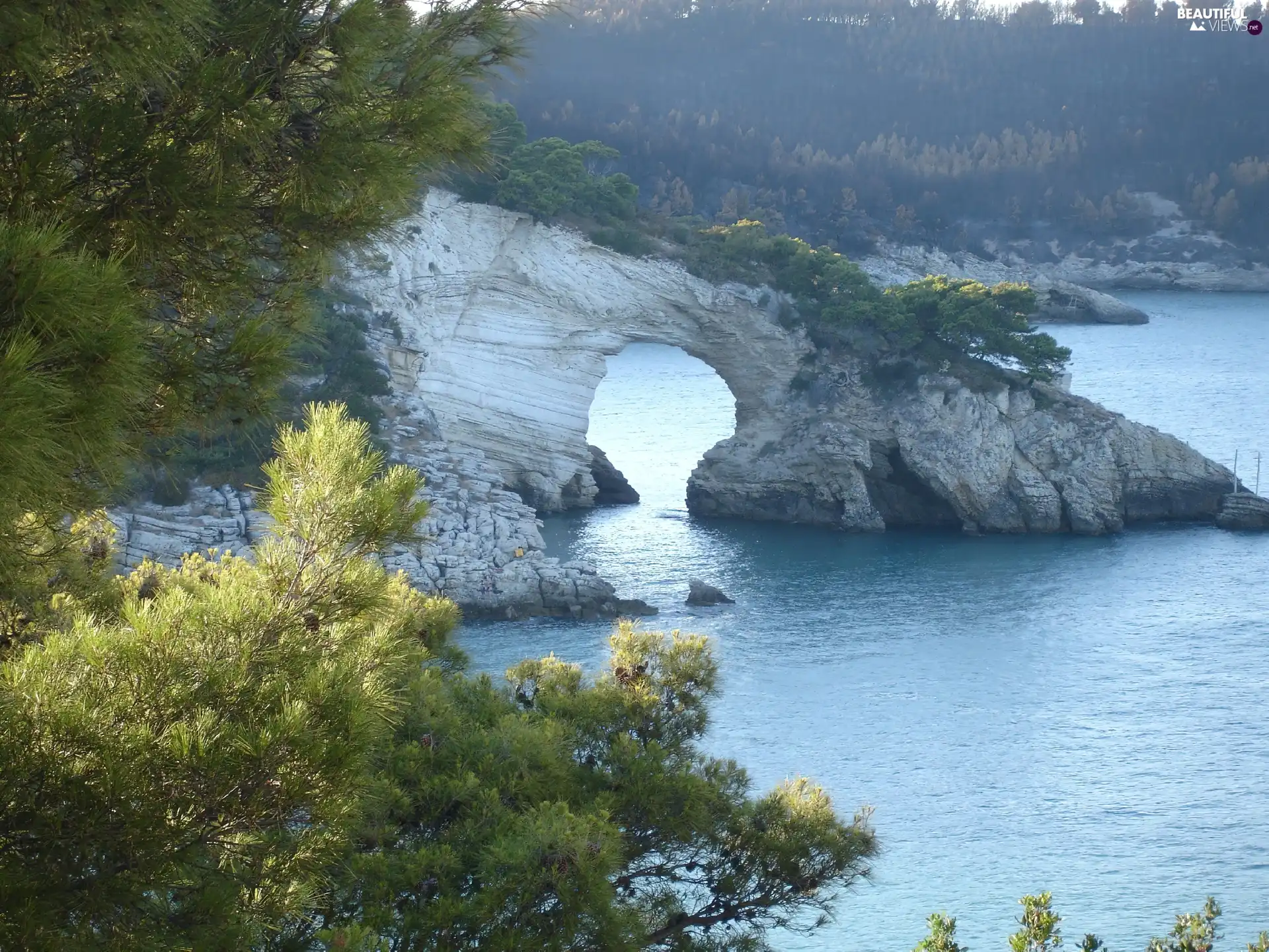 sea, trees, viewes, rocks