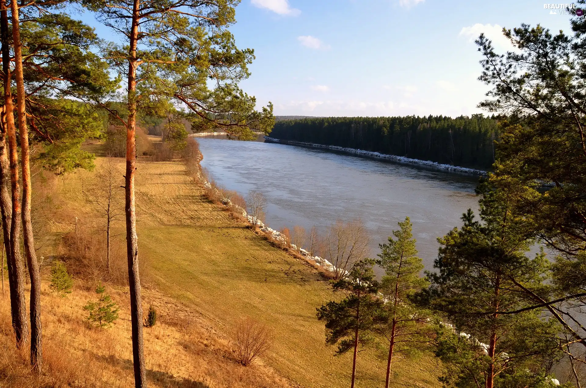 viewes, Sky, forest, trees, River