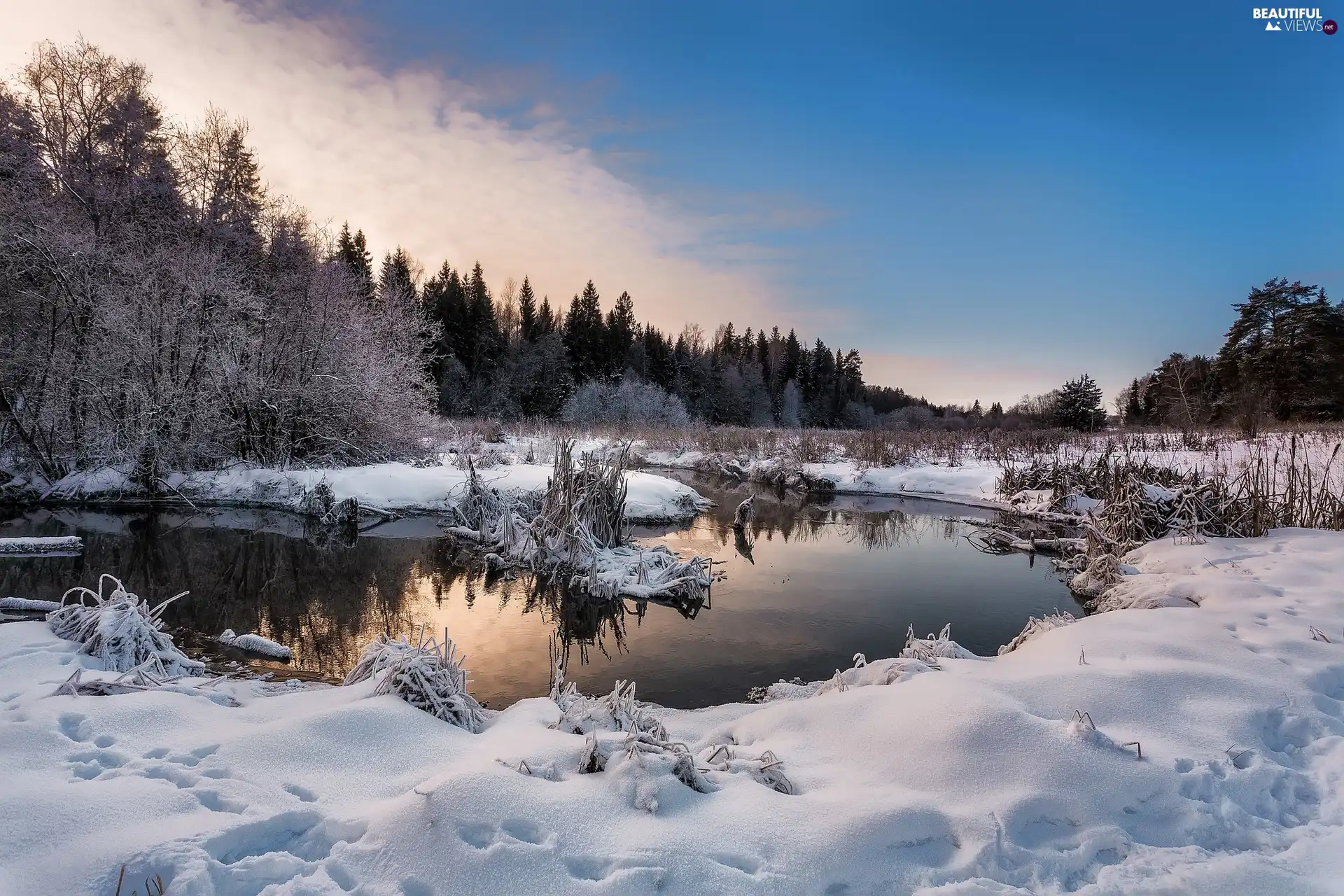 snow, traces, Sky, trees, blue, winter, River, viewes